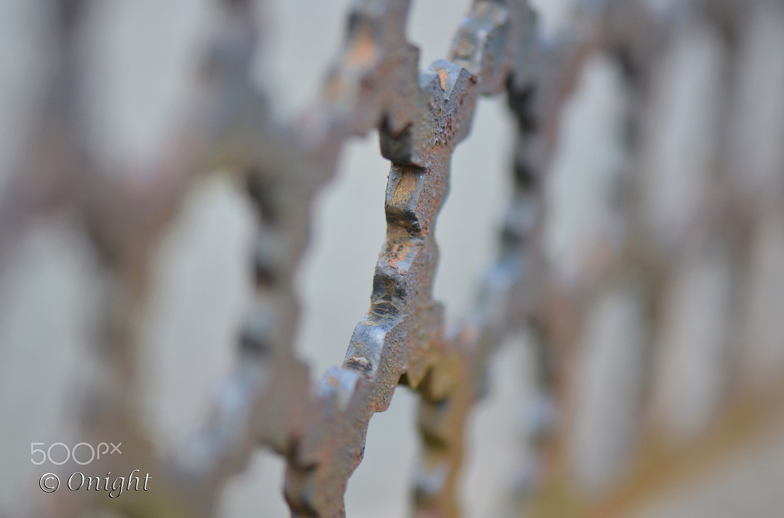 Nikon D5100 + Sigma 50mm F2.8 EX DG Macro sample photo. Illusion photography