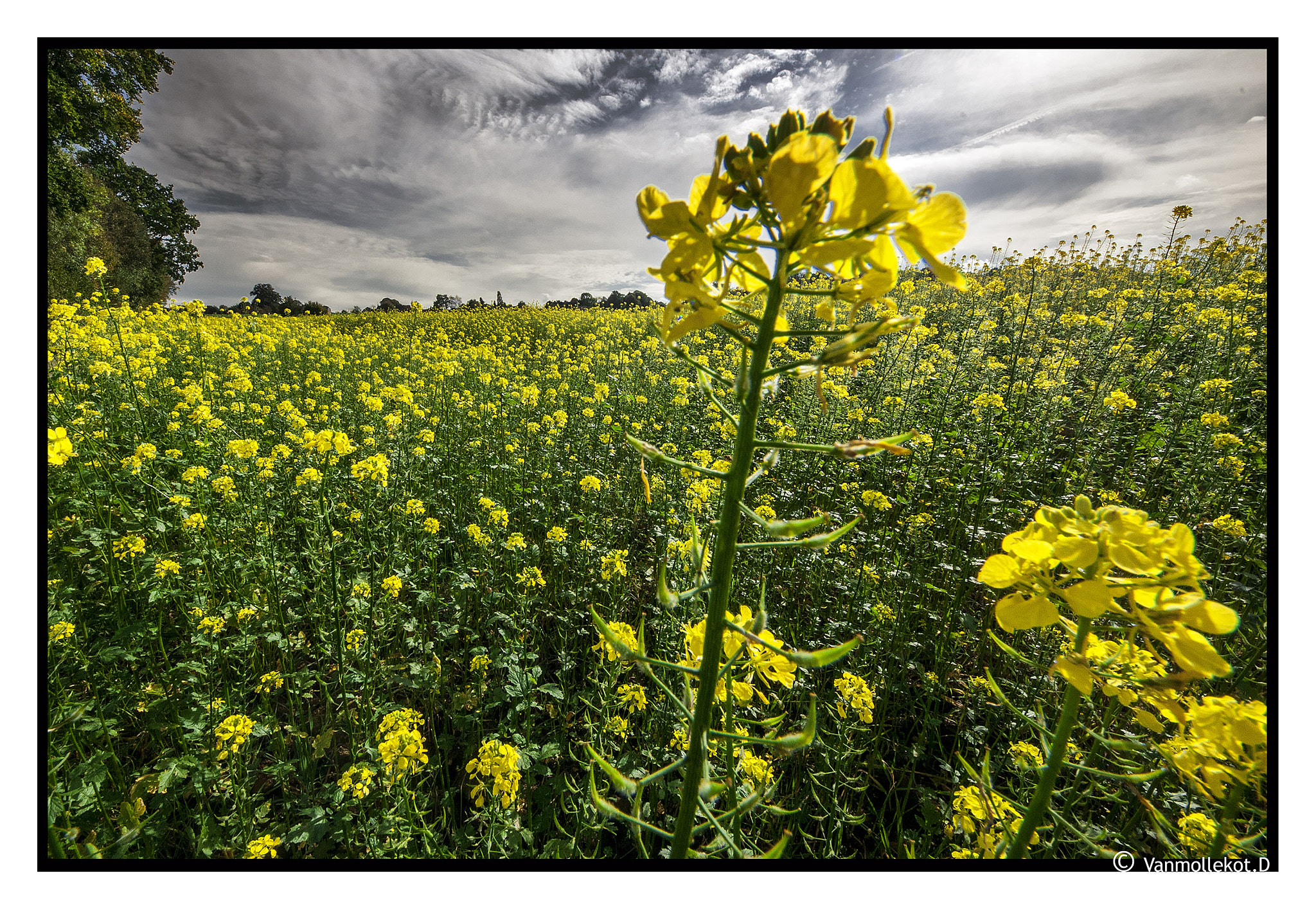 Sigma 8-16mm F4.5-5.6 DC HSM sample photo. Paysages couleurs photography