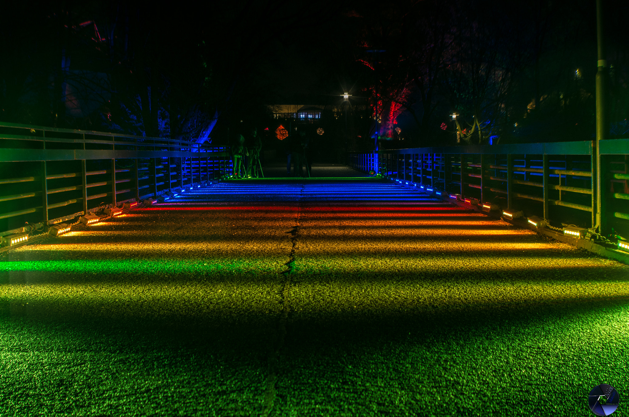Pentax K-5 IIs sample photo. Nikkiphotographya photography