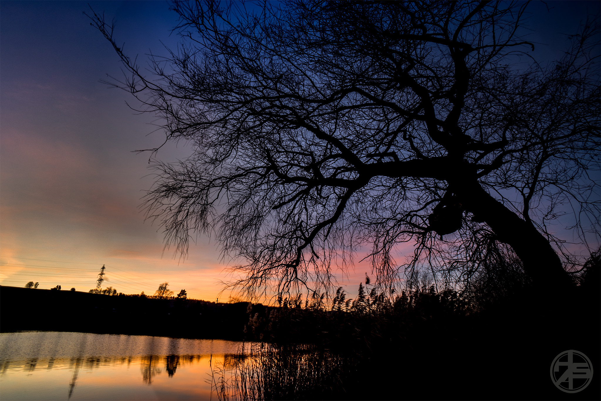 Sony a7 II + Sony E 16mm F2.8 sample photo. Horgenbergweiher photography