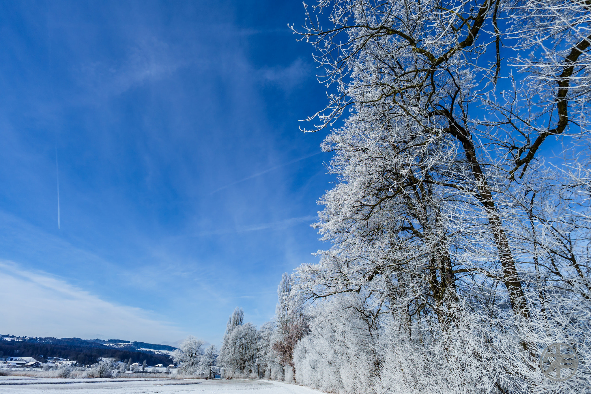 Sony a7 II + ZEISS Touit 12mm F2.8 sample photo. Winterwonderland photography