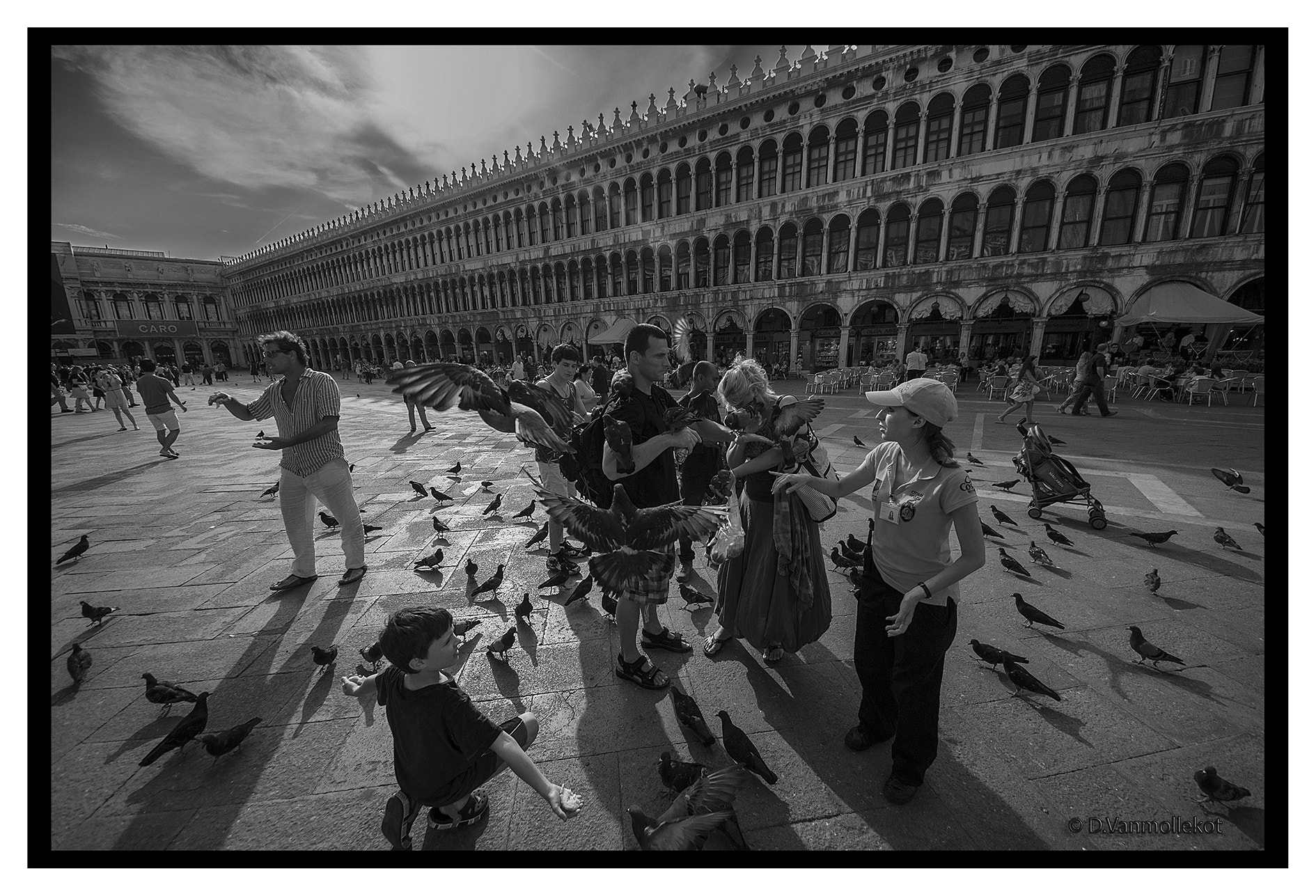 Sigma 8-16mm F4.5-5.6 DC HSM sample photo. Venise b/w photography