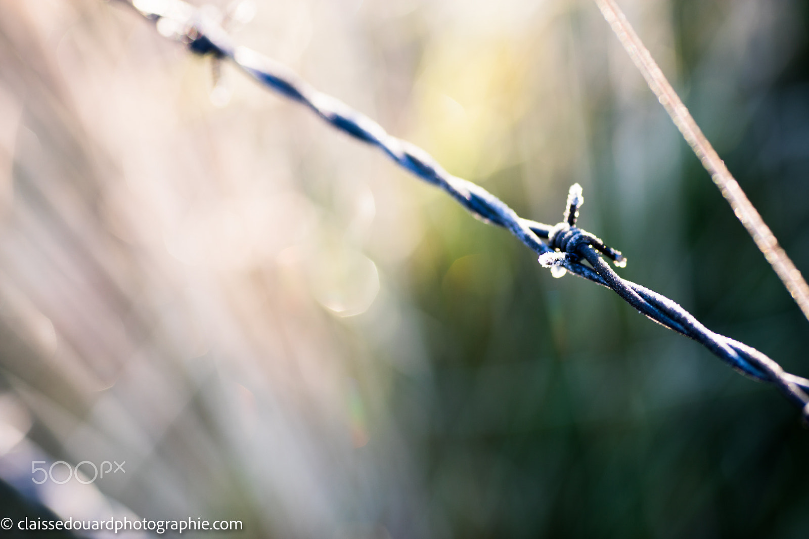 Canon EOS 5DS + Canon EF 135mm F2L USM sample photo. Img_0043.jpg photography