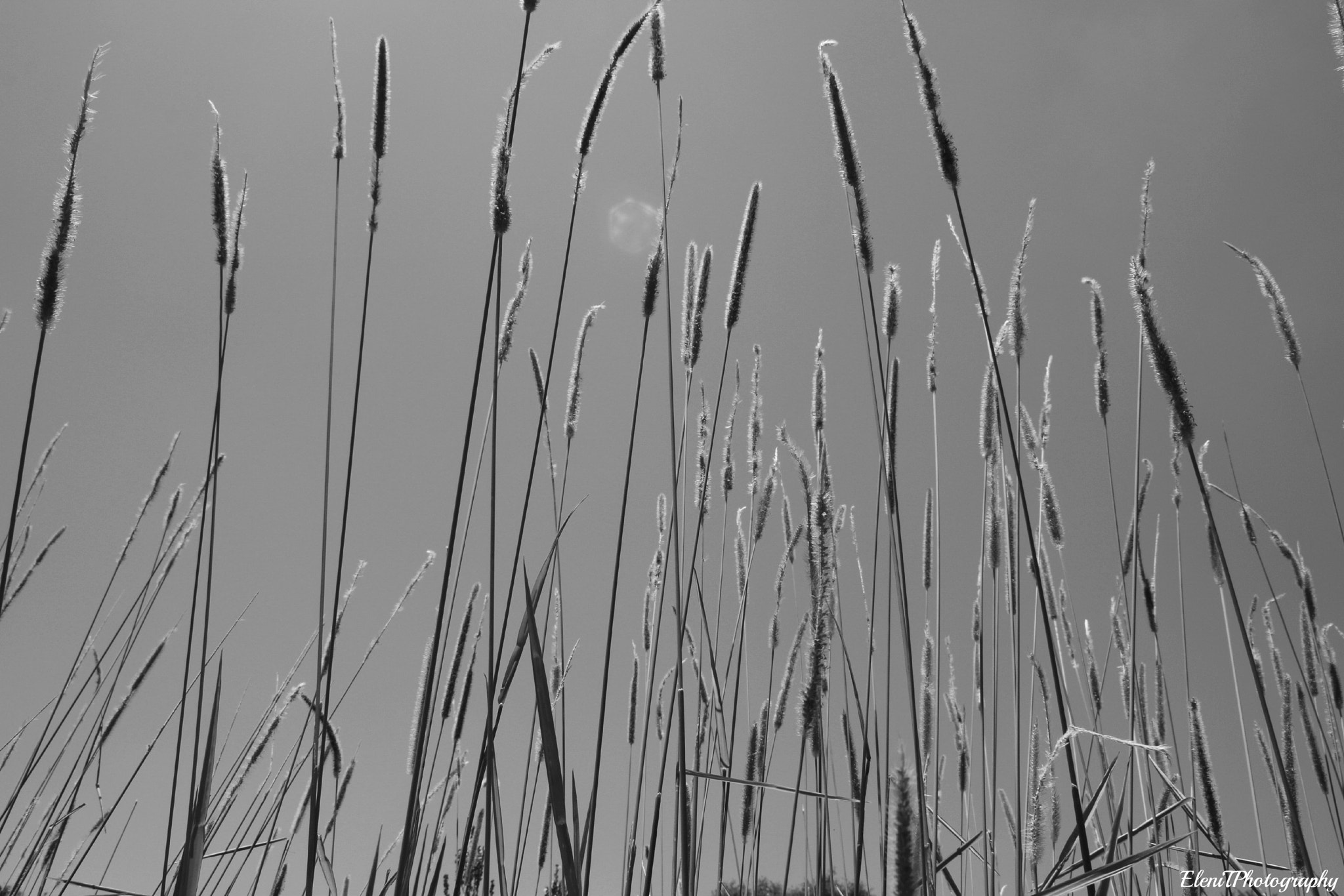 Canon EF-S 18-55mm F3.5-5.6 sample photo. Sky so high photography