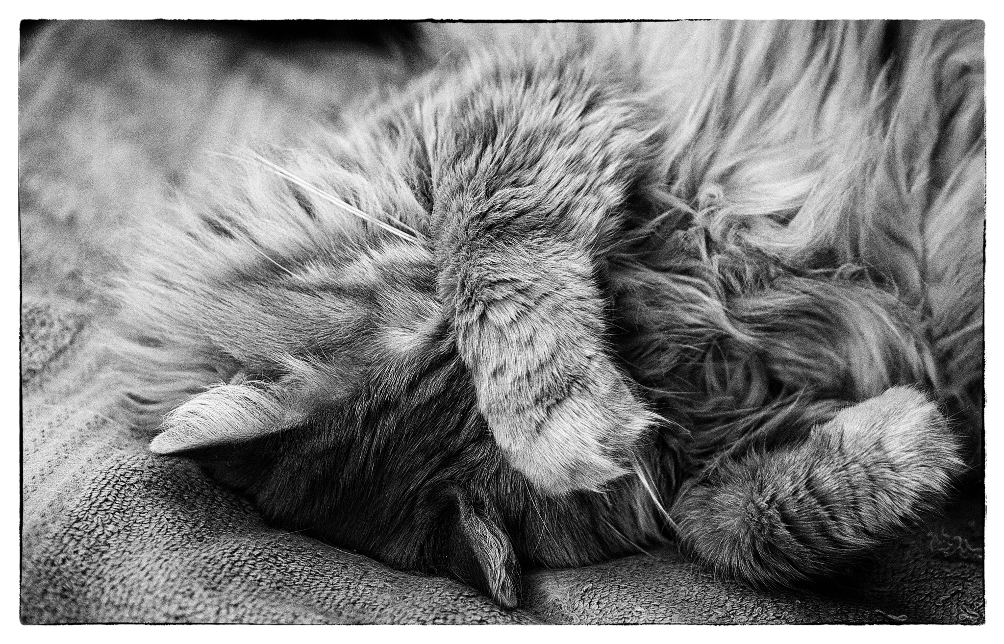 E 50mm F1.8 OSS sample photo. Nap time photography