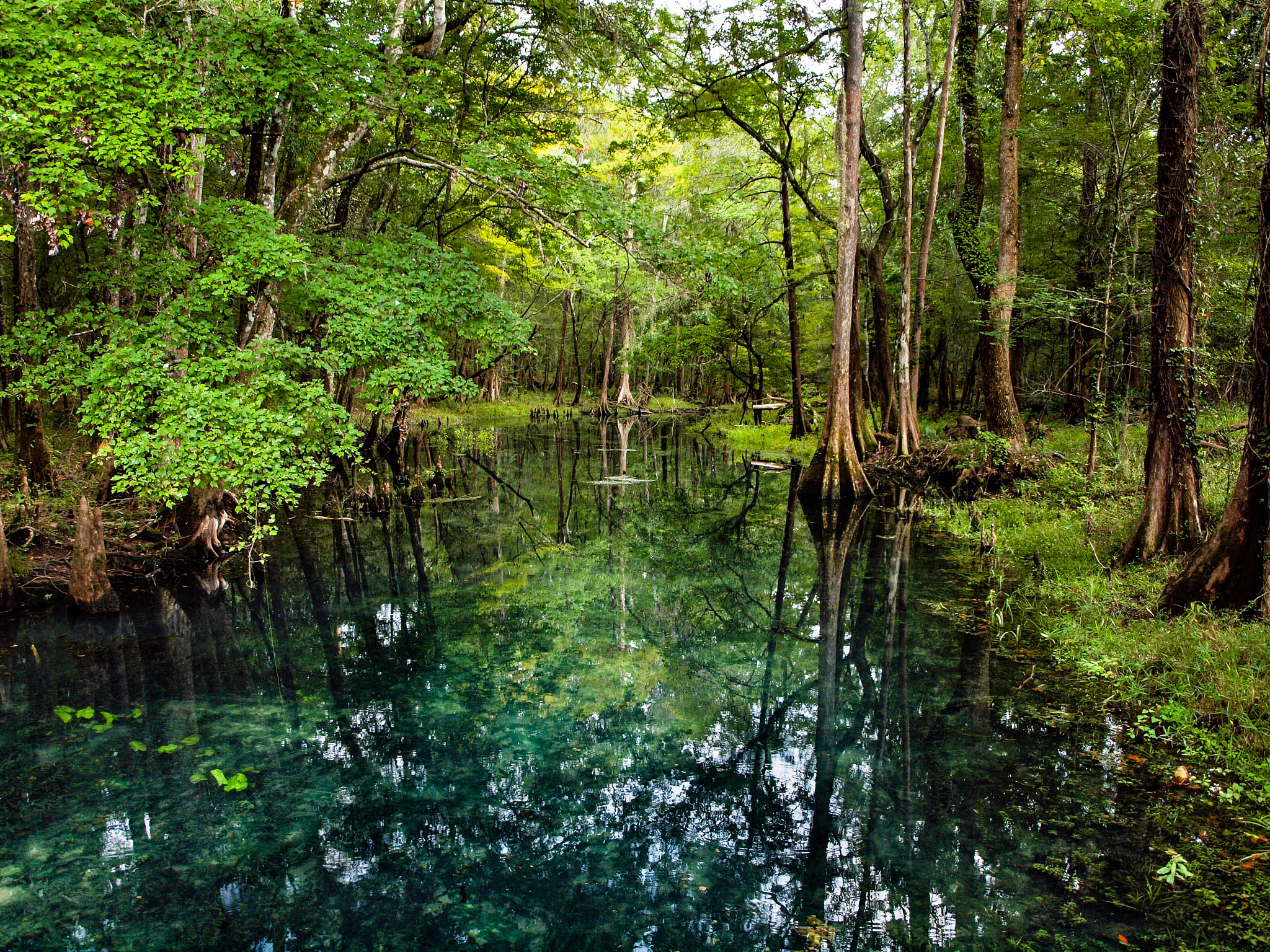 Olympus E-600 (EVOLT E-600) + OLYMPUS 14-42mm Lens sample photo. Looking down the blue hole run photography