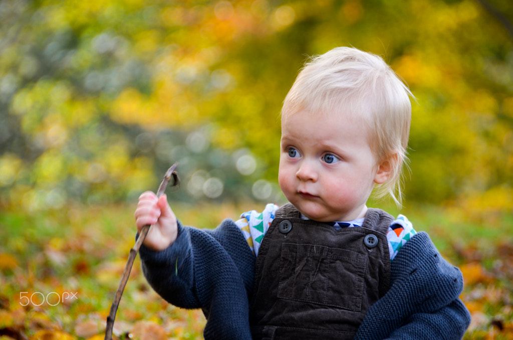 Nikon D5100 + IX-Nikkor 60-180mm f/4-5.6 sample photo. Autum colours photography