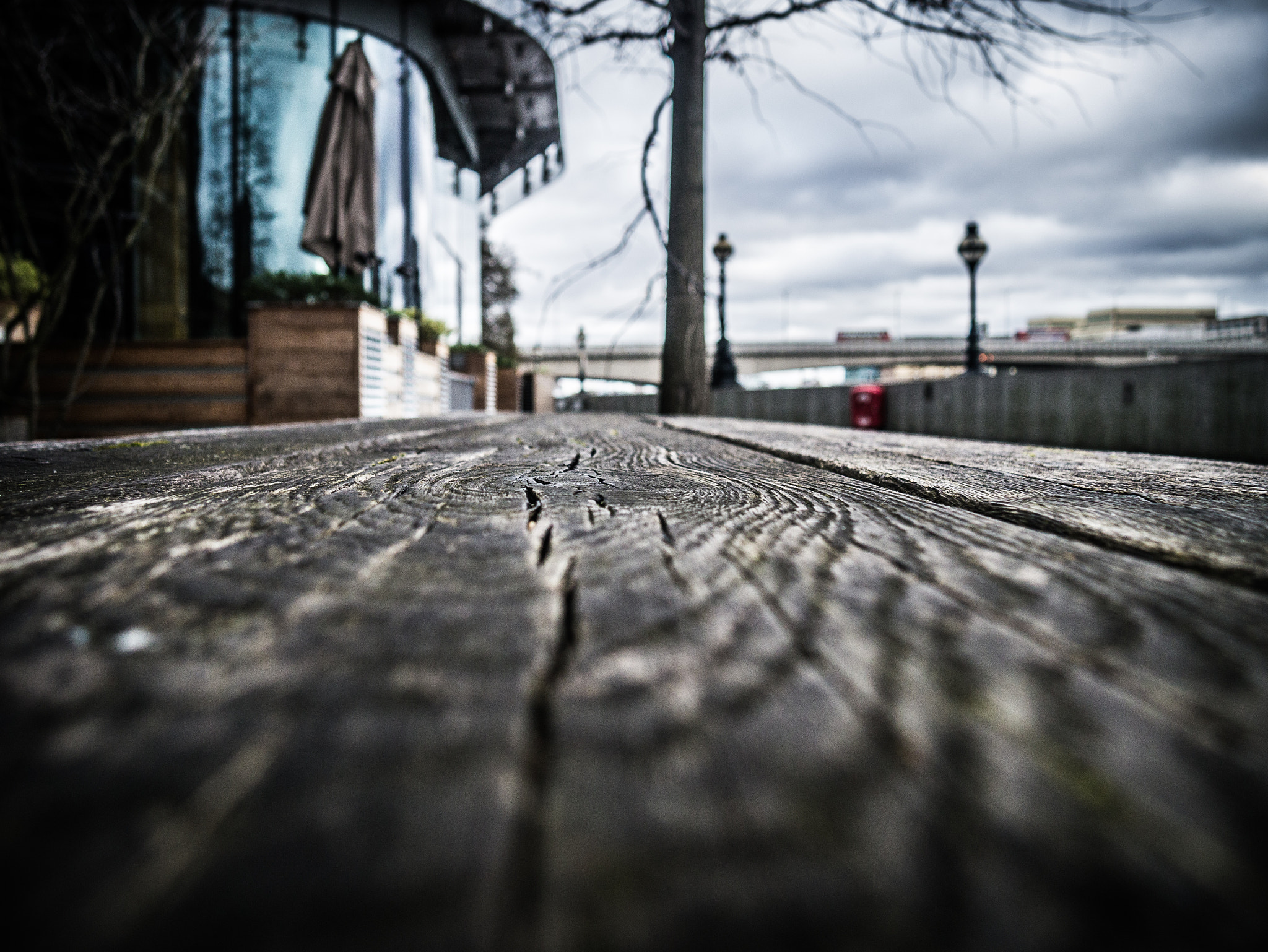 Panasonic Lumix DMC-G3 sample photo. Knot by the river photography