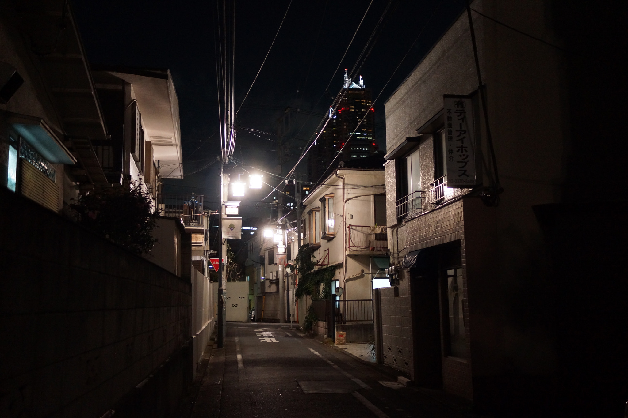 Sony Alpha NEX-7 + Sony Sonnar T* E 24mm F1.8 ZA sample photo. Lost in yoyogi village photography