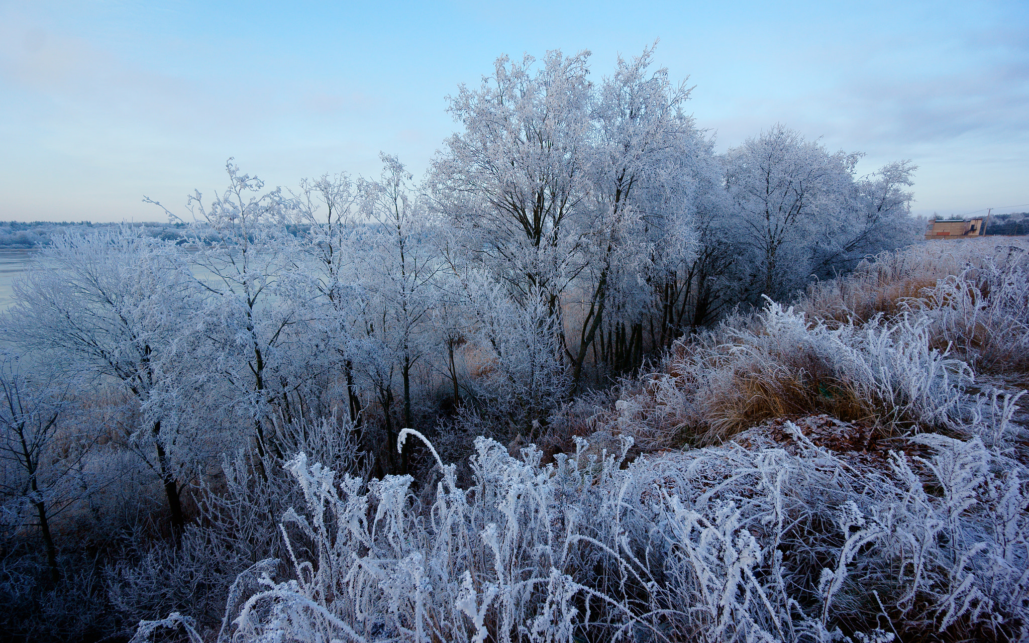 Sony Alpha NEX-5N + Sony E 10-18mm F4 OSS sample photo. Blue frost. photography