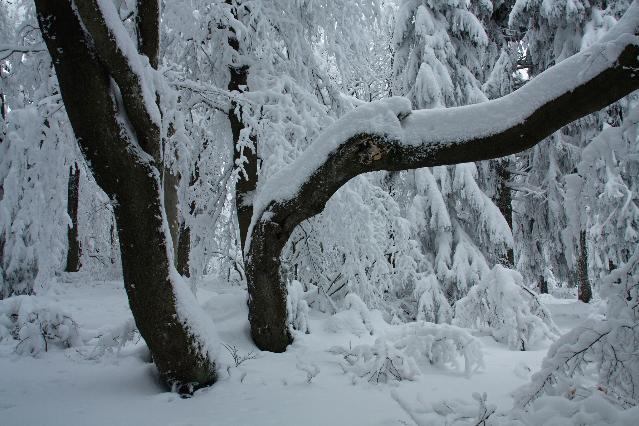 18.00 - 200.00 mm sample photo. () photography