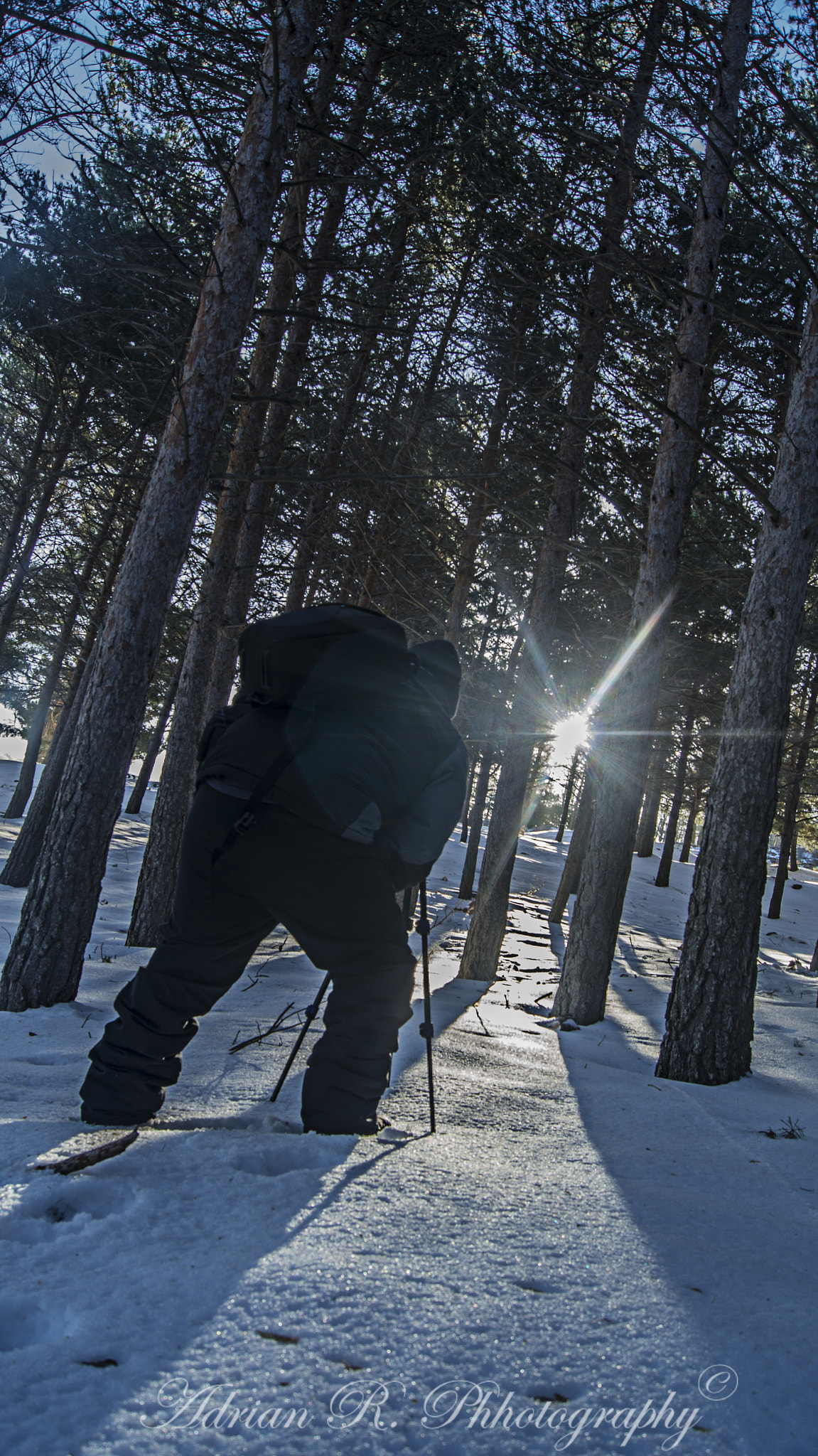 Sony Alpha DSLR-A580 sample photo. Nieve photography