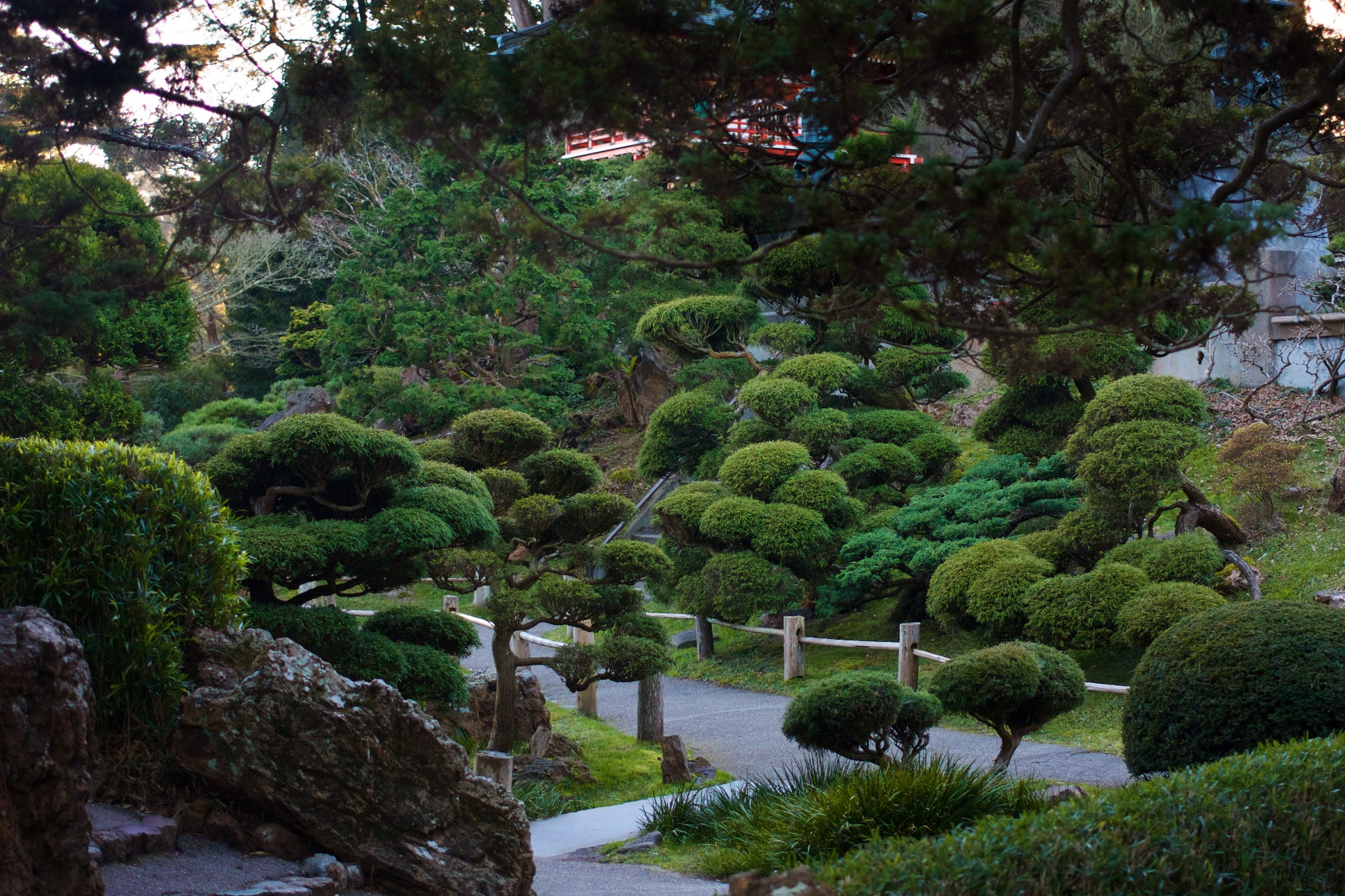 Canon EOS 450D (EOS Rebel XSi / EOS Kiss X2) + Canon EF 40mm F2.8 STM sample photo. Japanese tea garden photography