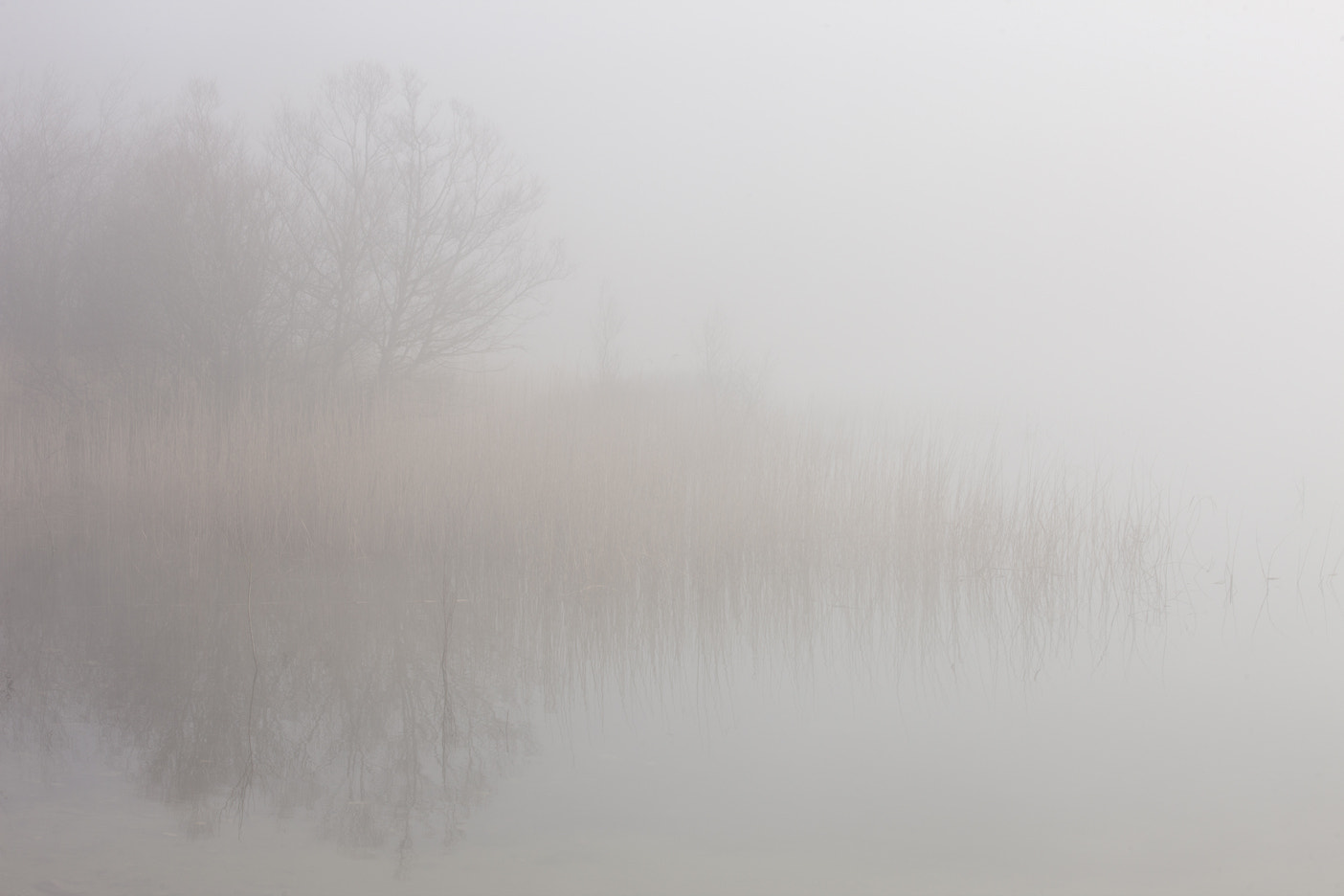Canon EOS-1Ds Mark III sample photo. Foggy morning... photography