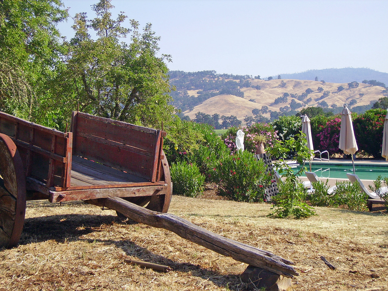 Pentax OPTIO 50 sample photo. Red farmers cart photography