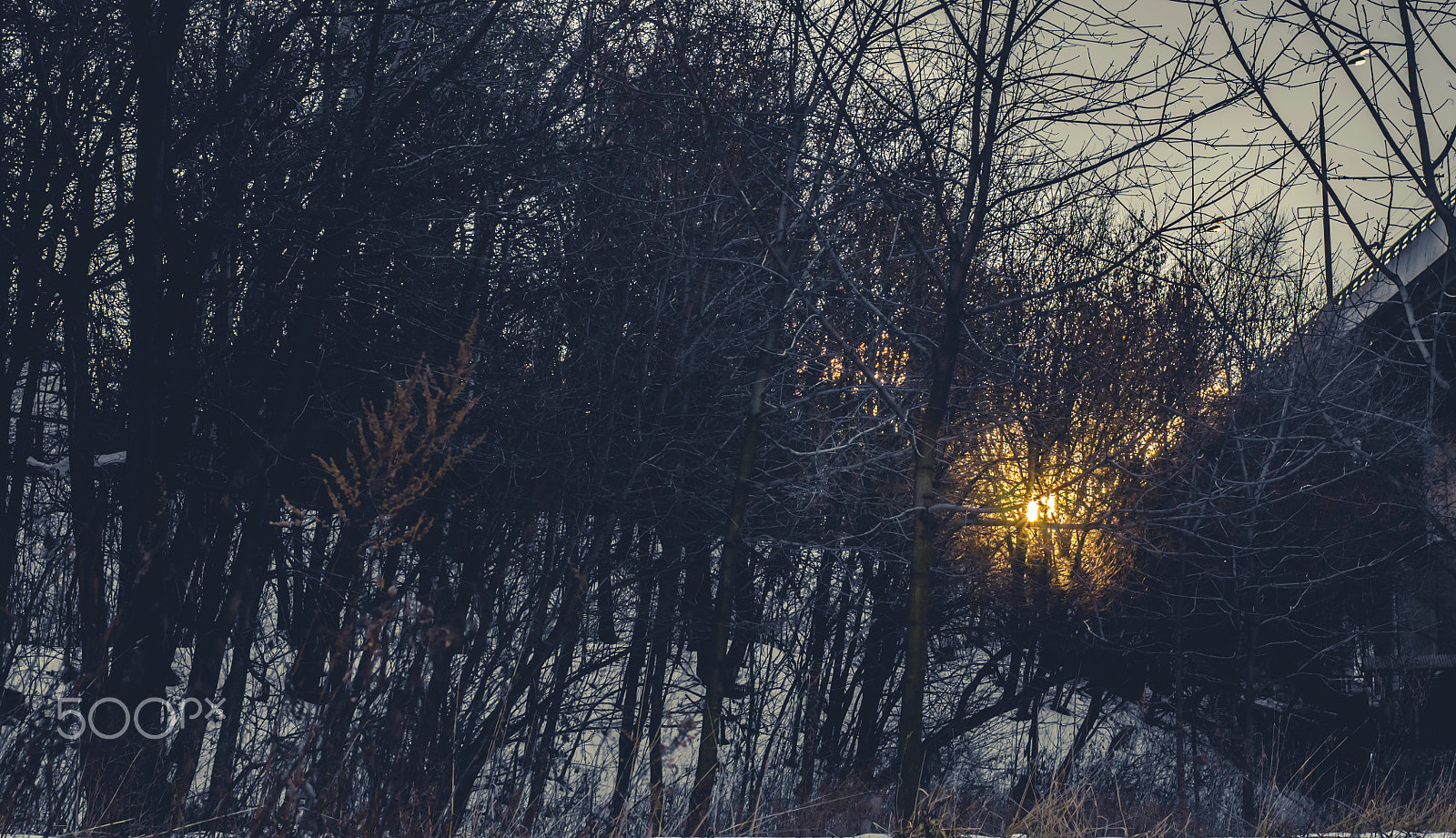 Sony 50mm F1.4 sample photo. Sunset photography