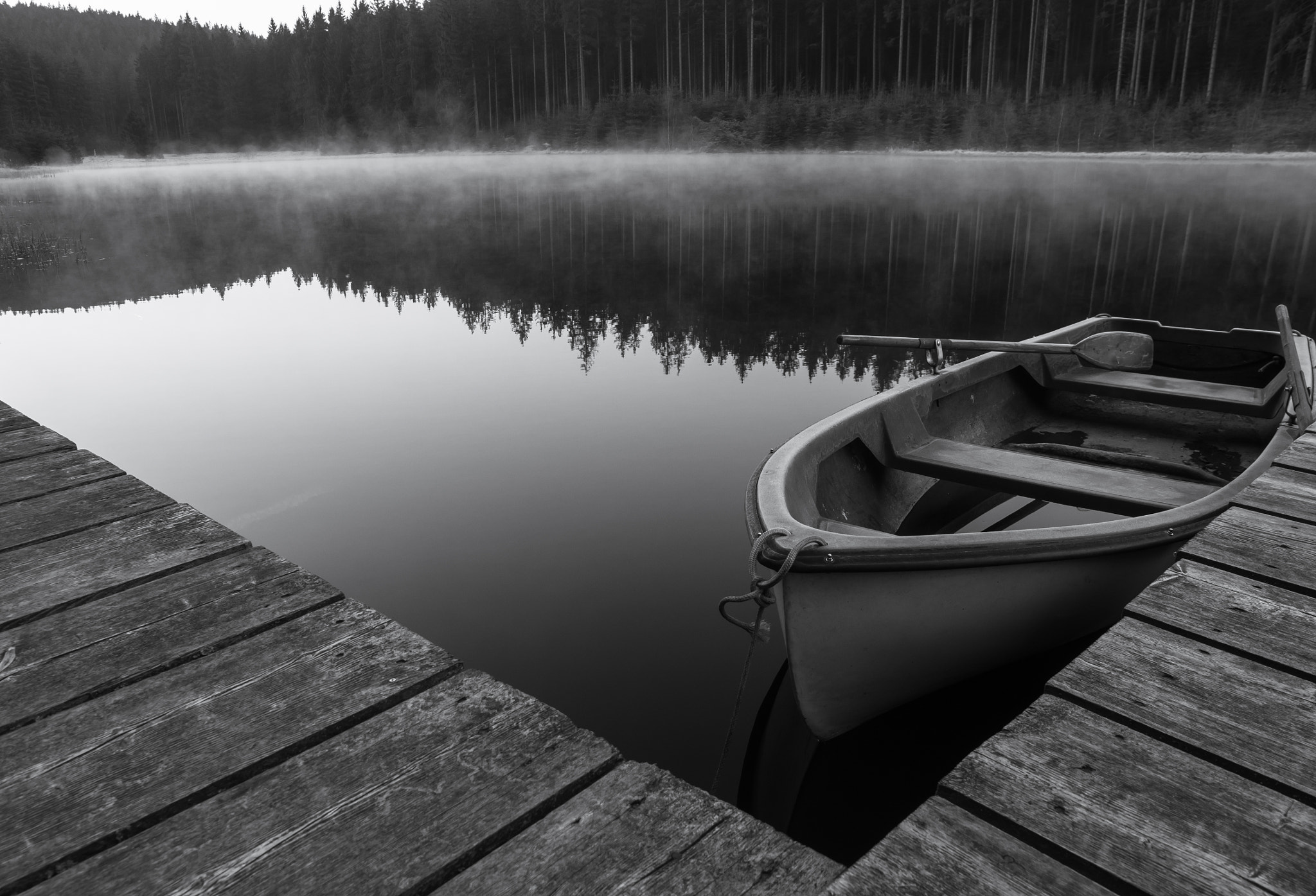Olympus Zuiko Digital ED 12-60mm F2.8-4.0 SWD sample photo. Morning stillness by the lake photography