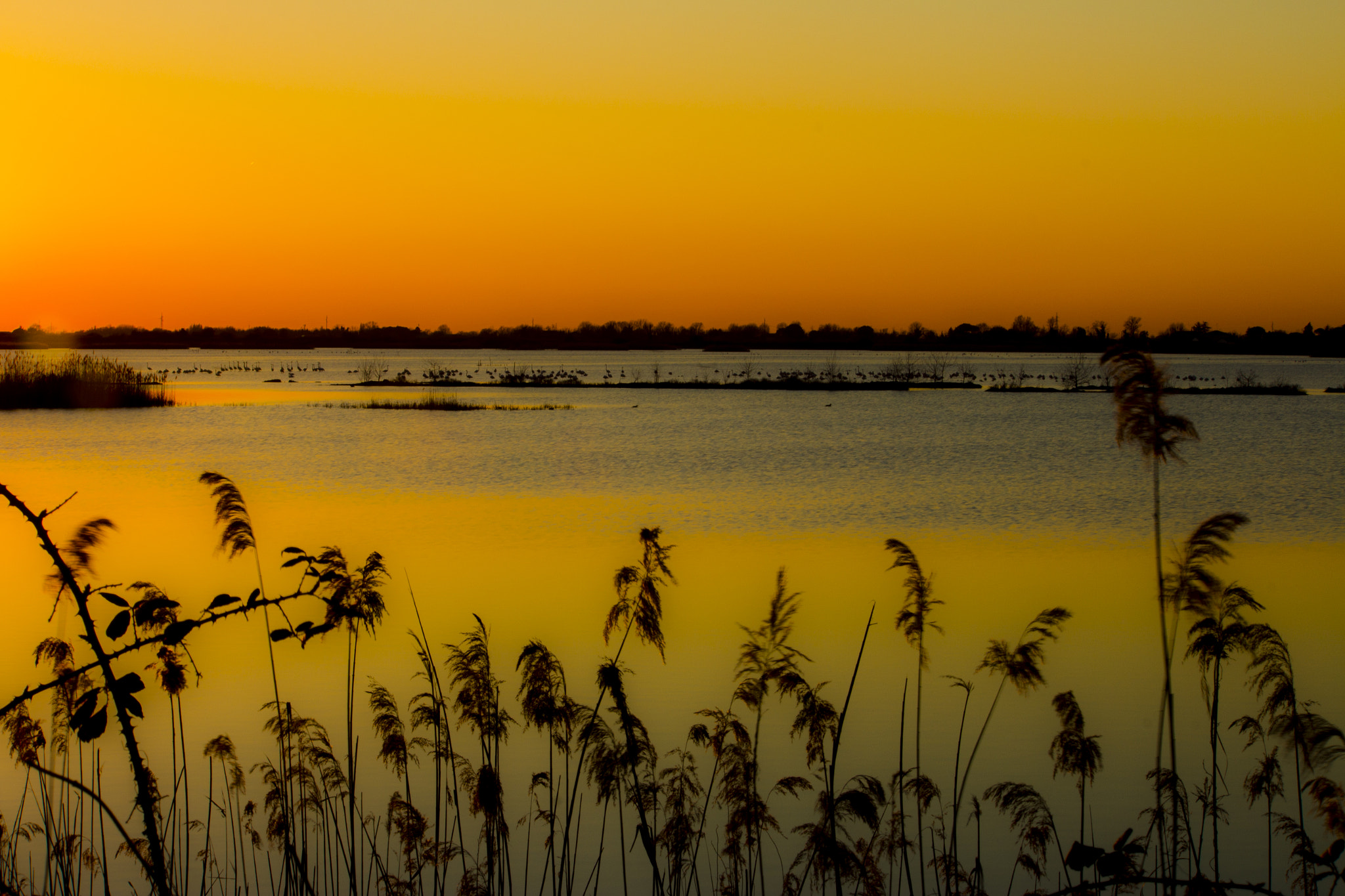 Canon EOS M sample photo. Valli di comacchio italy photography