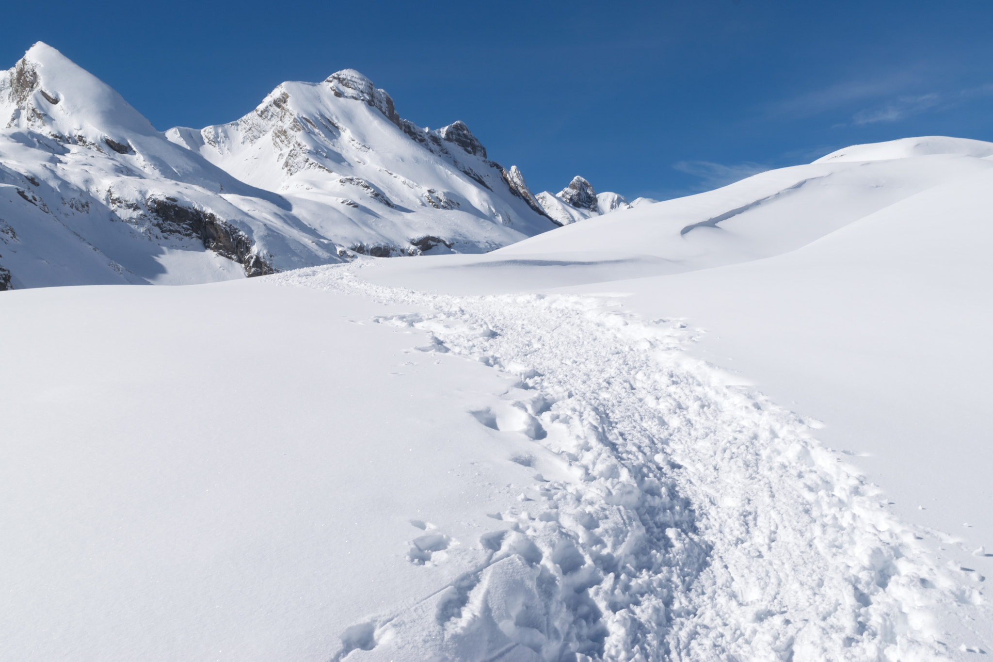 Tamron SP 24-70mm F2.8 Di VC USD sample photo. Path in the snow photography