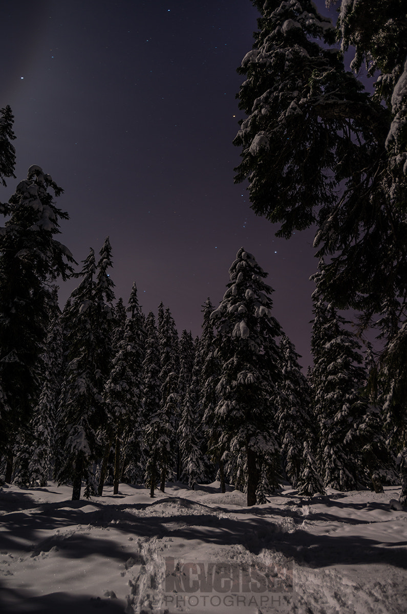 HD Pentax DA 15mm F4 ED AL Limited sample photo. Shadowland photography