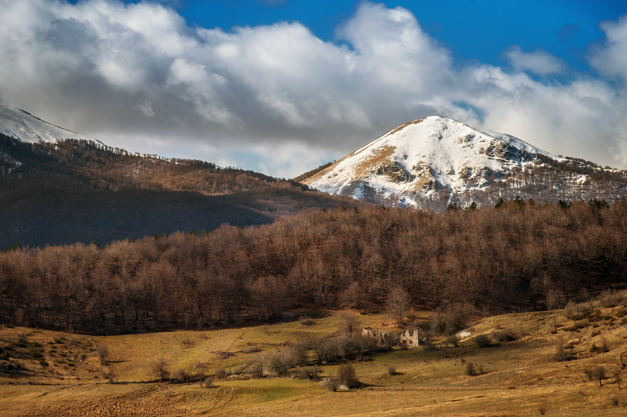 Nikon Df sample photo. Parco nazionale d'abruzzo photography
