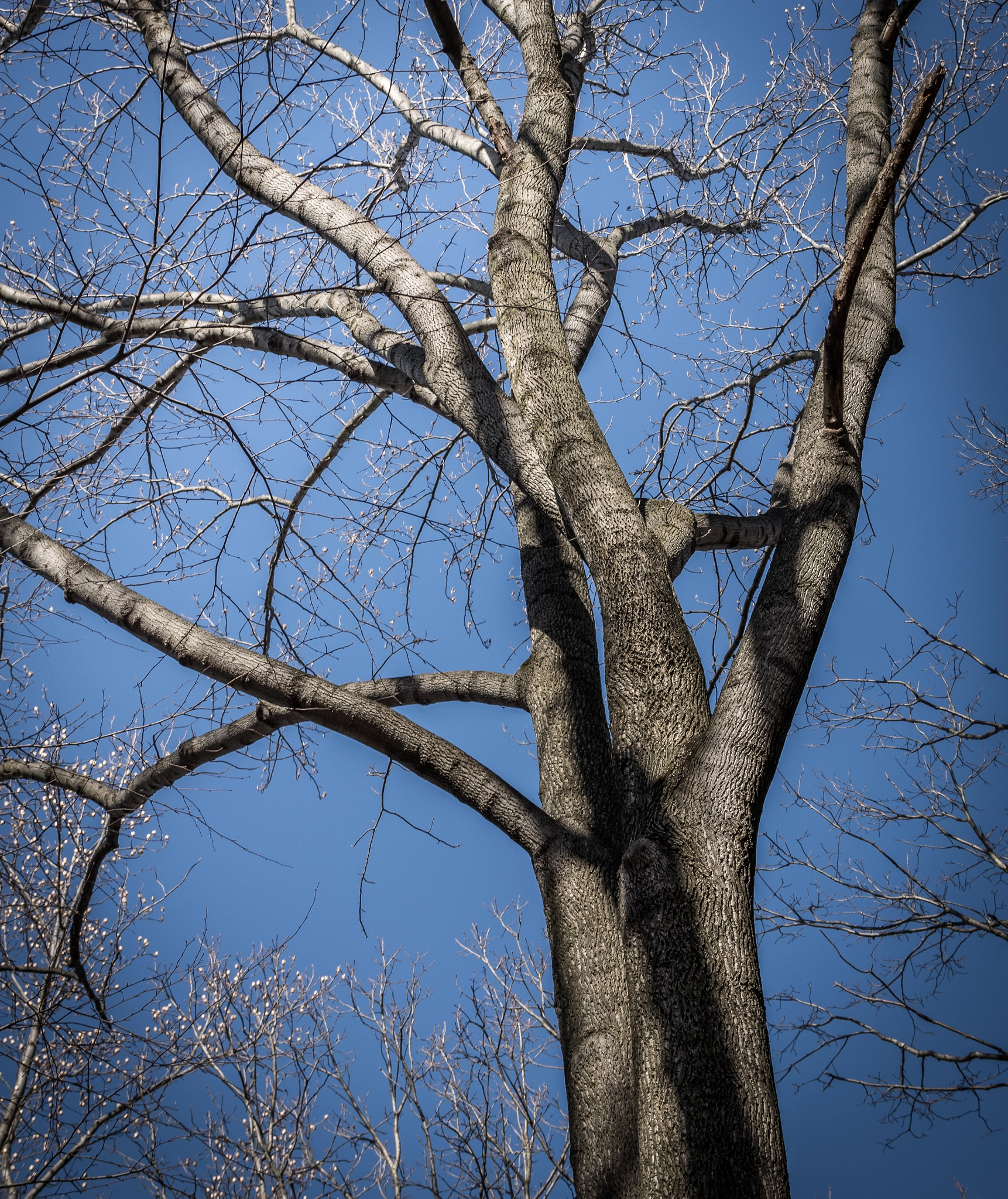Sigma 50-150mm F2.8 EX APO DC OS HSM sample photo