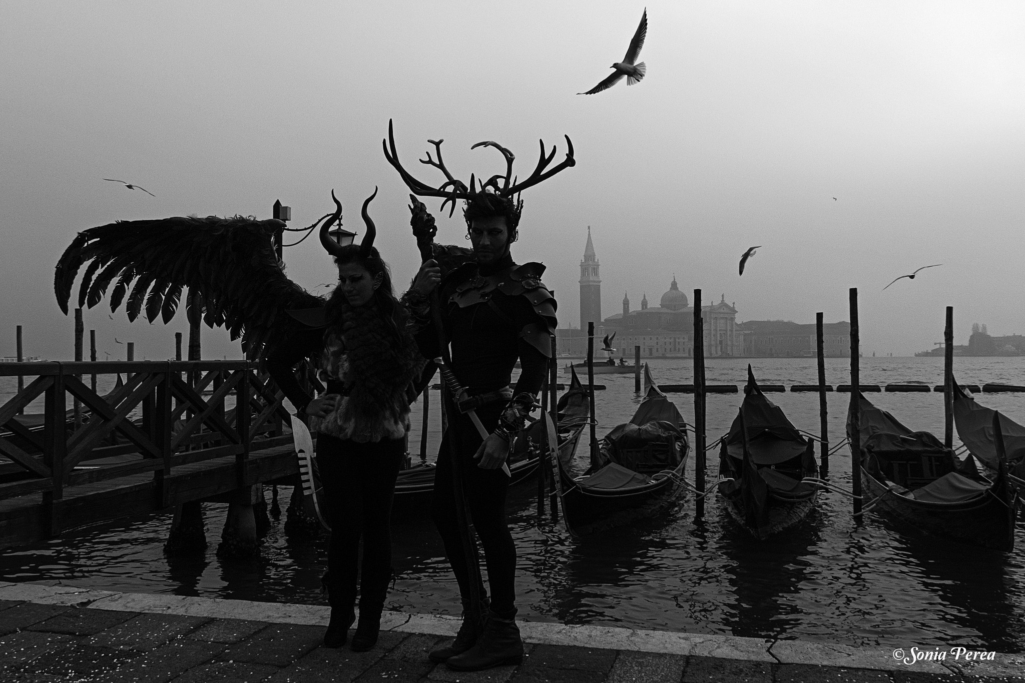 Sigma 18-200mm f/3.5-6.3 DC OS sample photo. Bestias venecianas photography