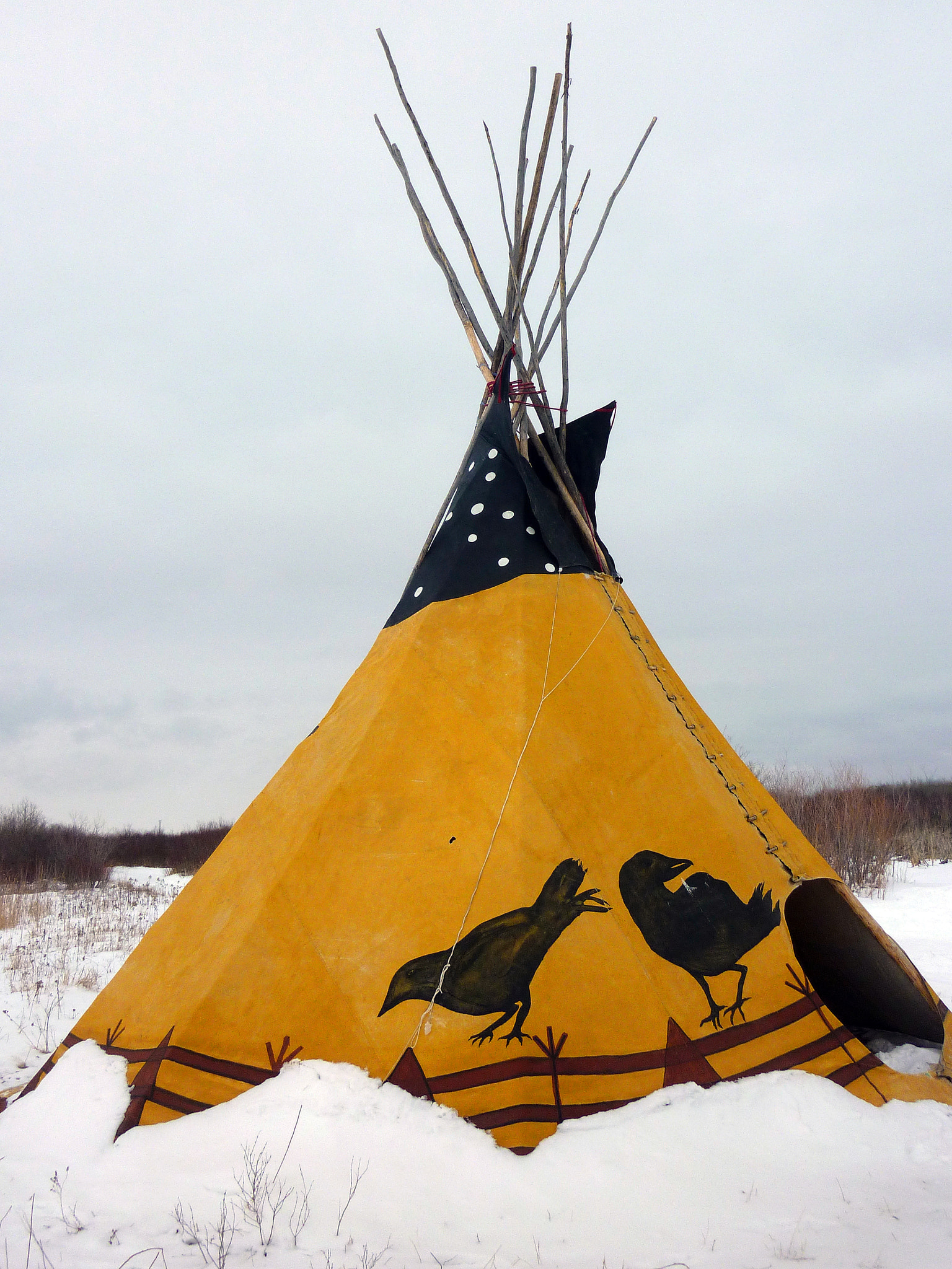 Panasonic DMC-ZR1 sample photo. Yellow teepee photography