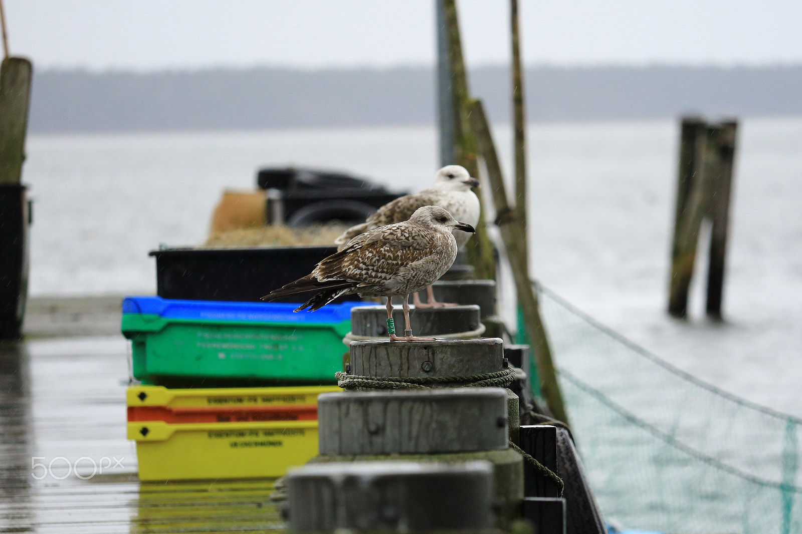 Canon EOS M3 sample photo. Hafen in rerik photography