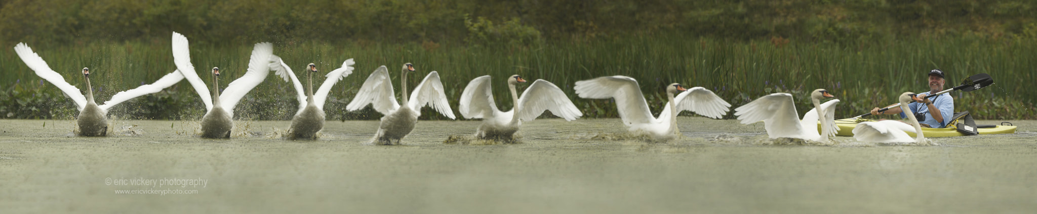Sony SLT-A57 + 70-200mm F2.8 sample photo. Landing sequence photography