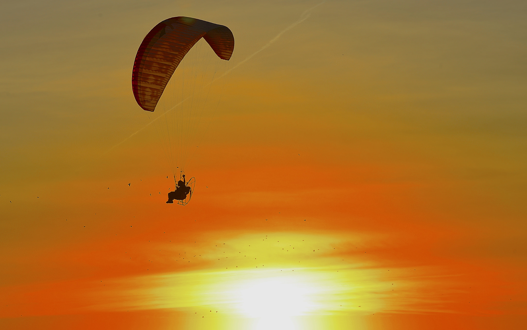 AF-S Nikkor 300mm f/2.8D IF-ED II sample photo. Into the sunset photography
