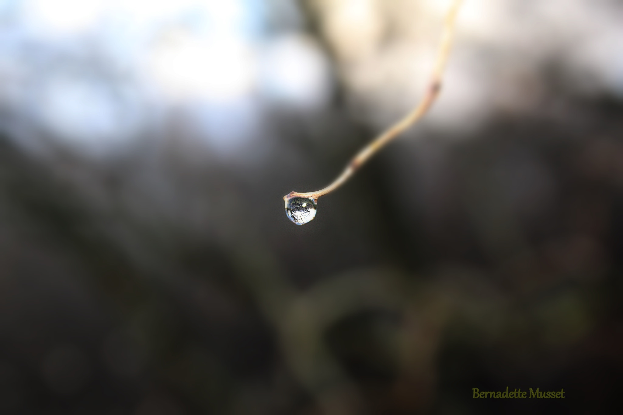 Canon EF-S 18-55mm F3.5-5.6 sample photo. Drop sky dark clouds photography