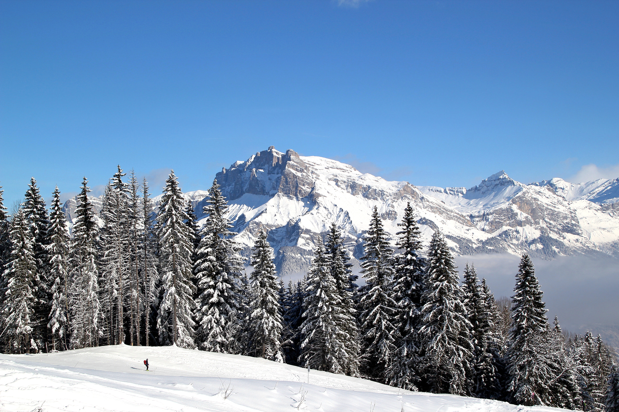 Canon EOS 550D (EOS Rebel T2i / EOS Kiss X4) + Canon 18-270mm sample photo. To ski alone photography