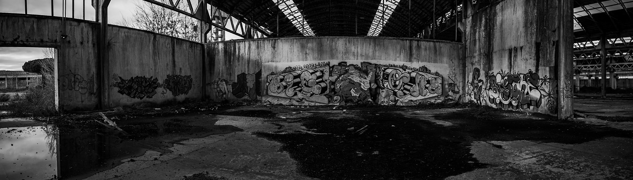Sigma 17-35mm F2.8-4 EX DG  Aspherical HSM sample photo. Degradation and street sharks photography