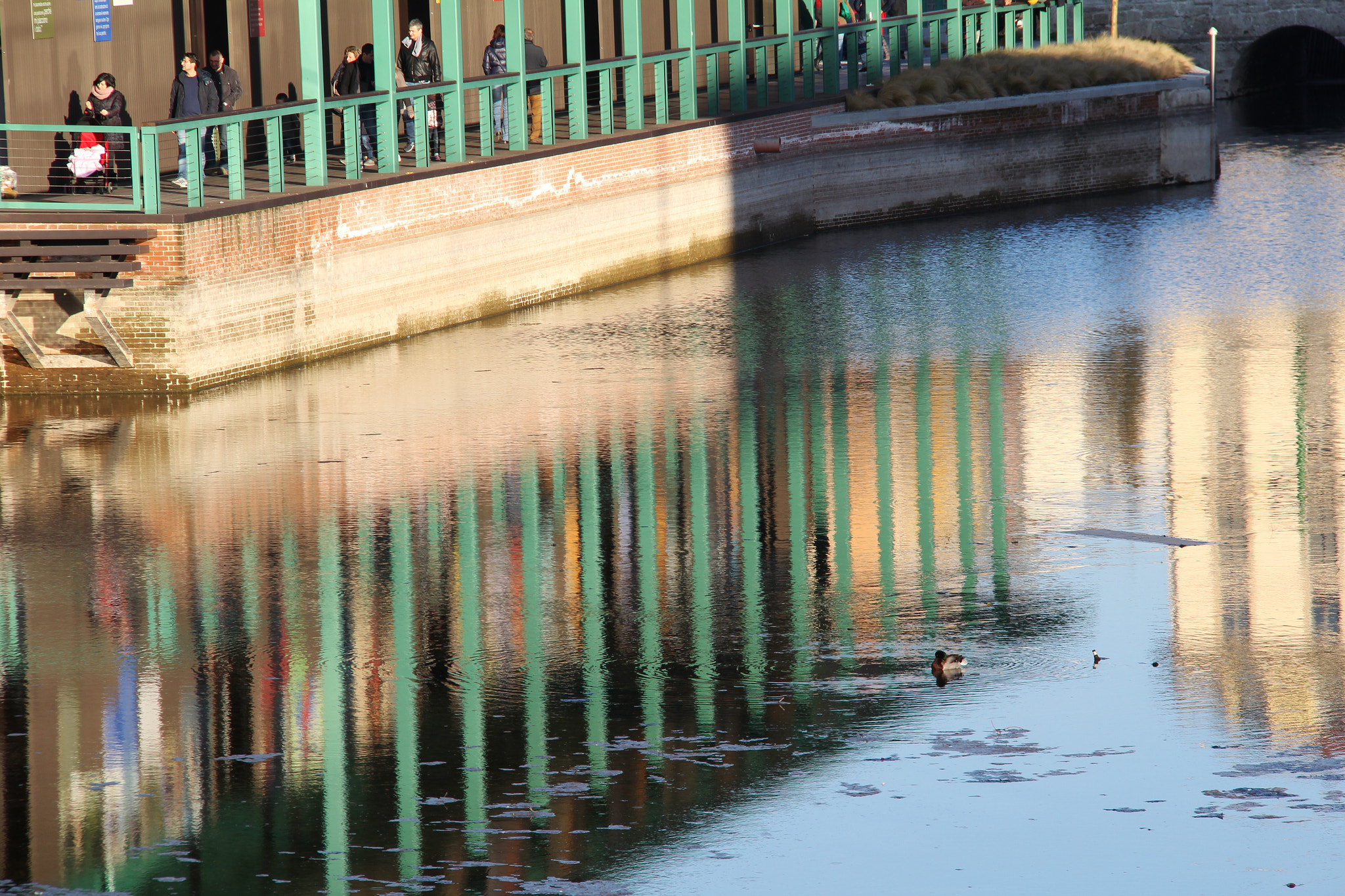 Canon EF-S 18-200mm F3.5-5.6 IS sample photo. Image photography