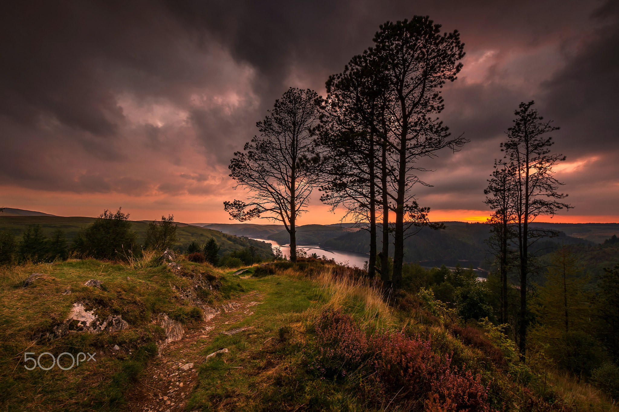 llyn Brianee