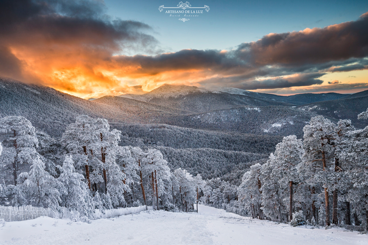 Canon EOS-1D X + Canon EF 300mm f/2.8L sample photo. Winter sunset photography