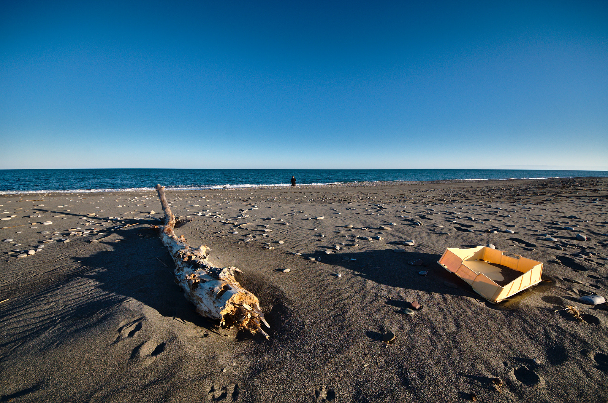 Sigma 8-16mm F4.5-5.6 DC HSM sample photo. Friends? photography