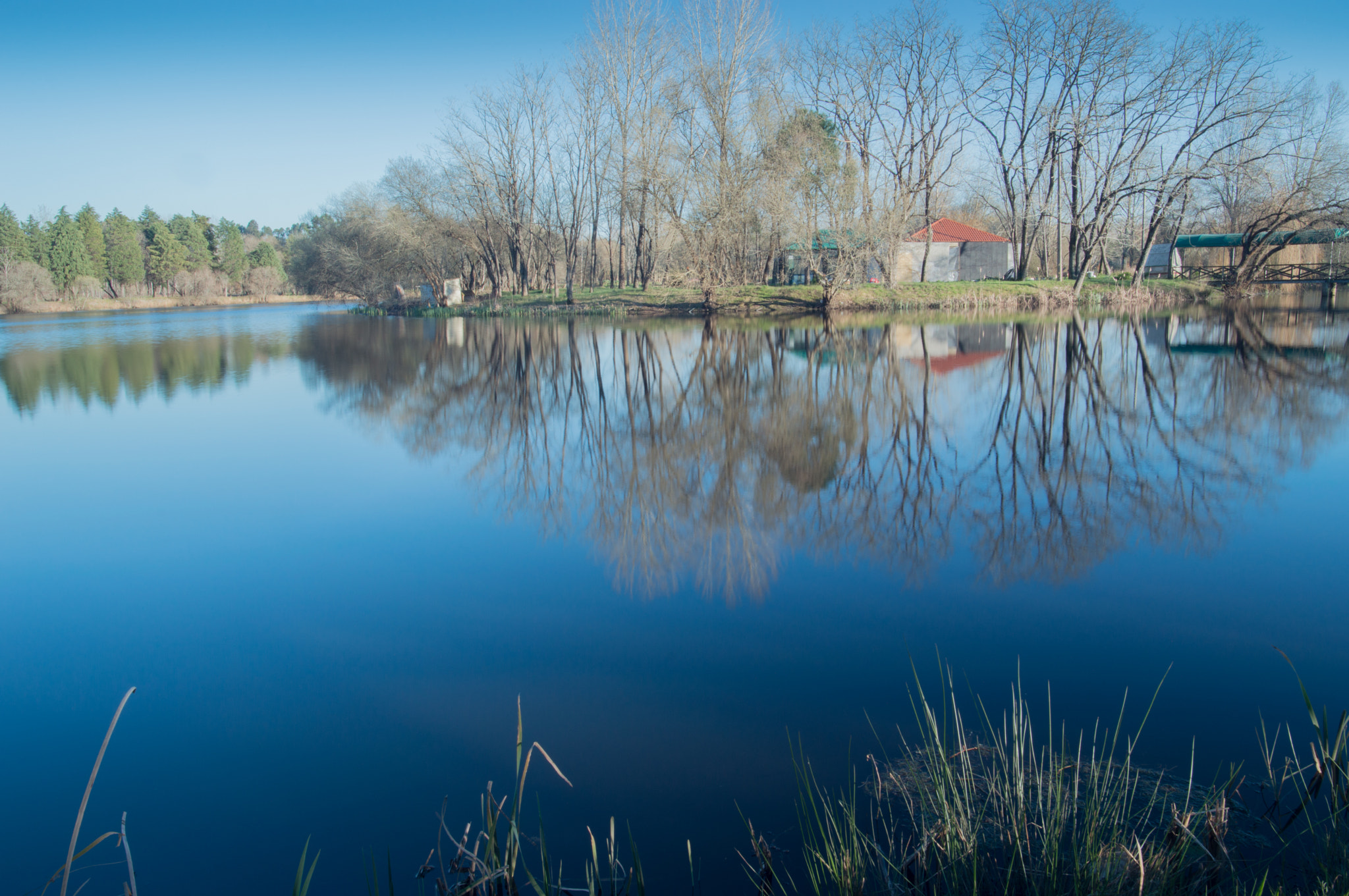 Nikon D3200 + Samyang 16mm F2 ED AS UMC CS sample photo. Blue mirror photography