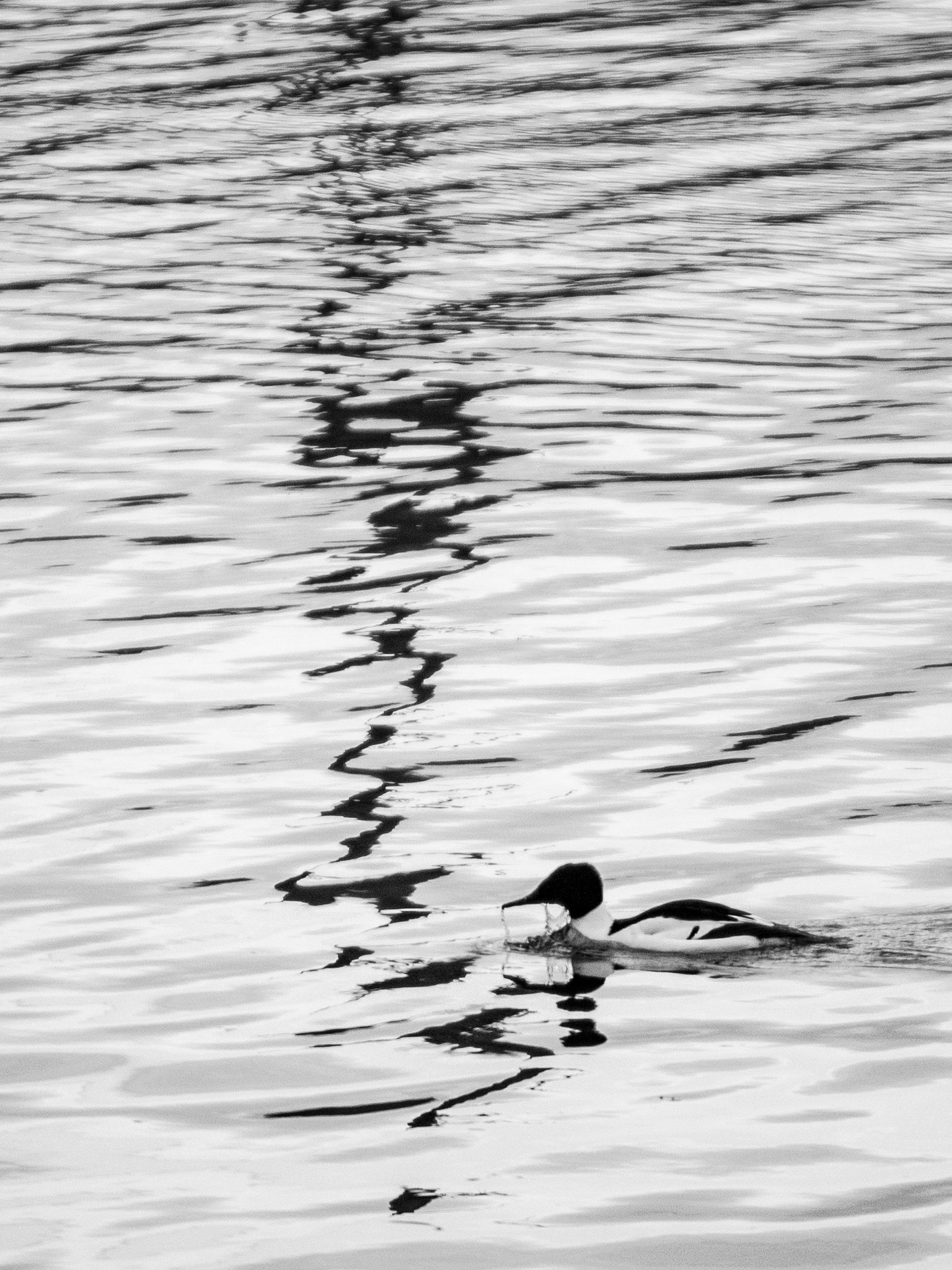 Panasonic Lumix G X Vario 35-100mm F2.8 OIS sample photo. Ripples in the water photography