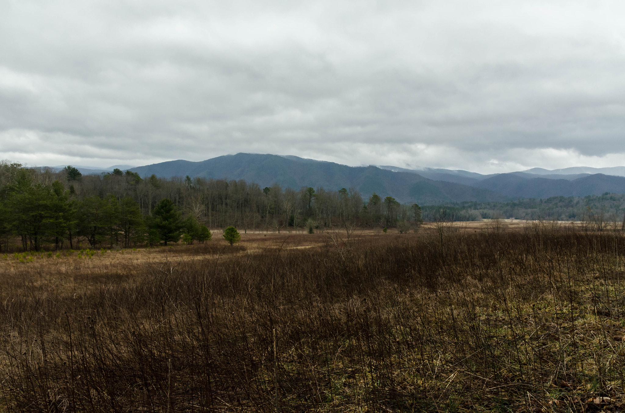 Sigma 17-70mm F2.8-4 DC Macro OS HSM | C sample photo. Cades cove photography