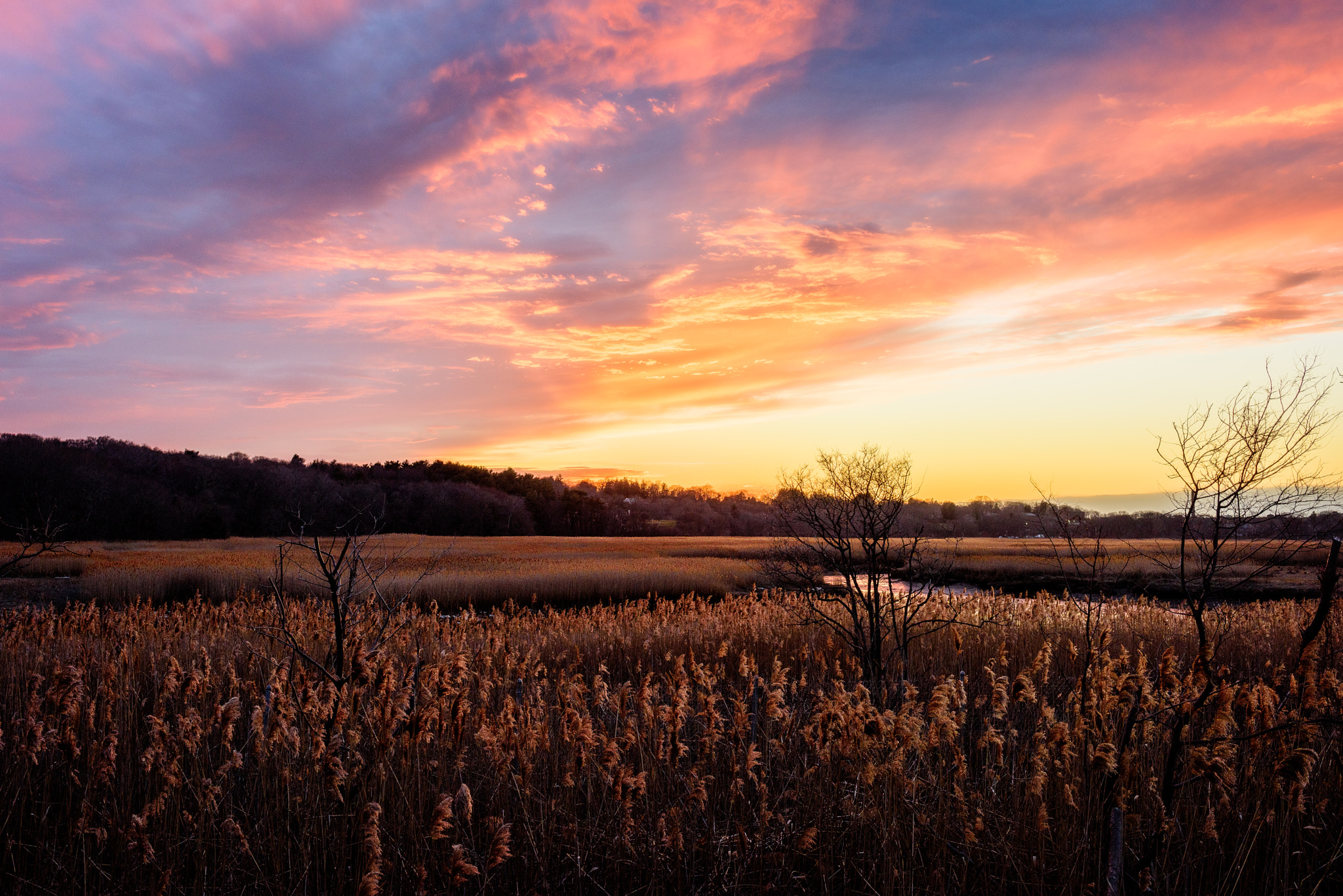 Nikon D810 + AF-S Nikkor 35mm f/1.8G sample photo. A warm winter sunset photography