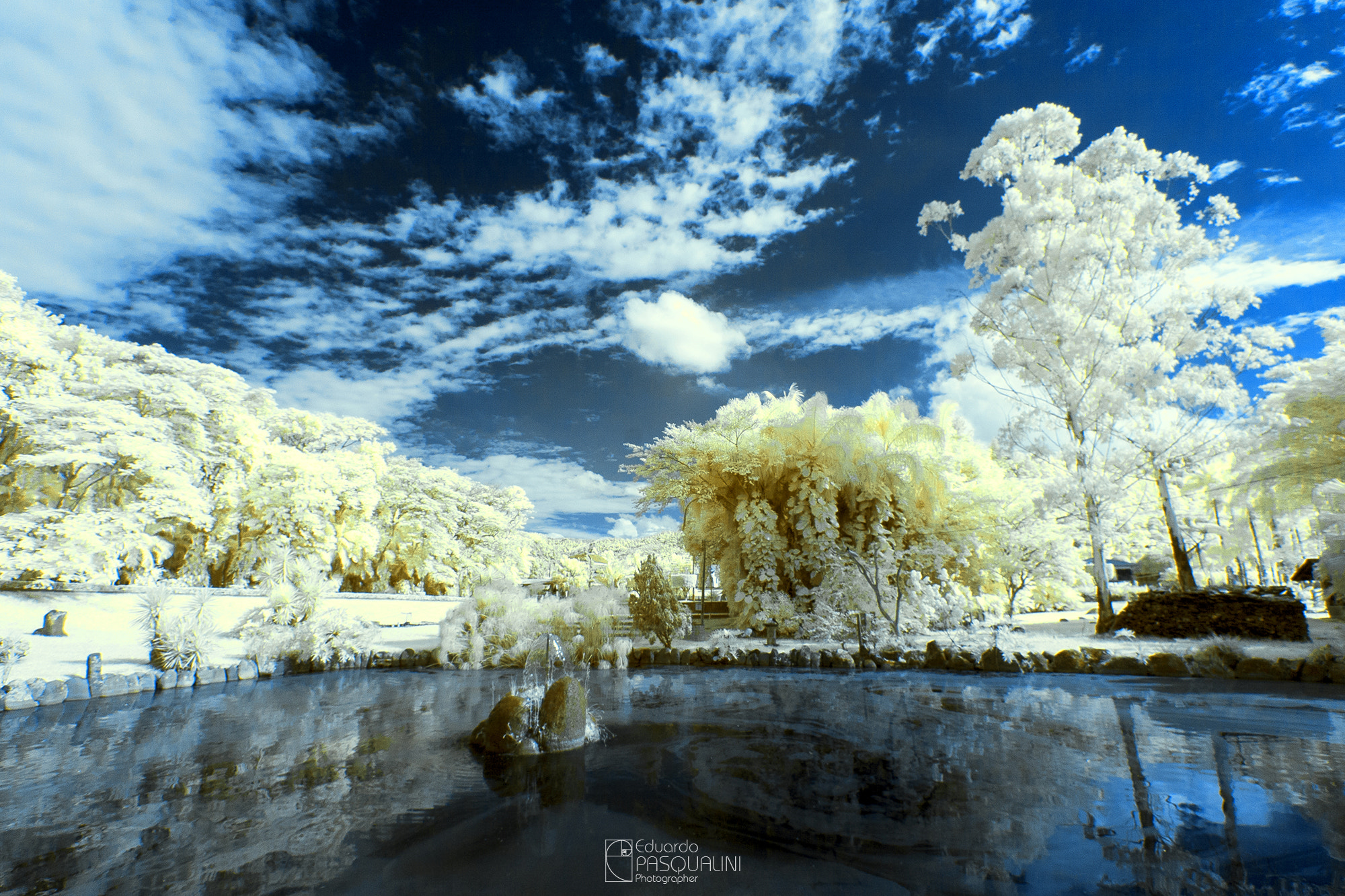 Canon EOS 30D sample photo. Infrared garden (yellow) photography