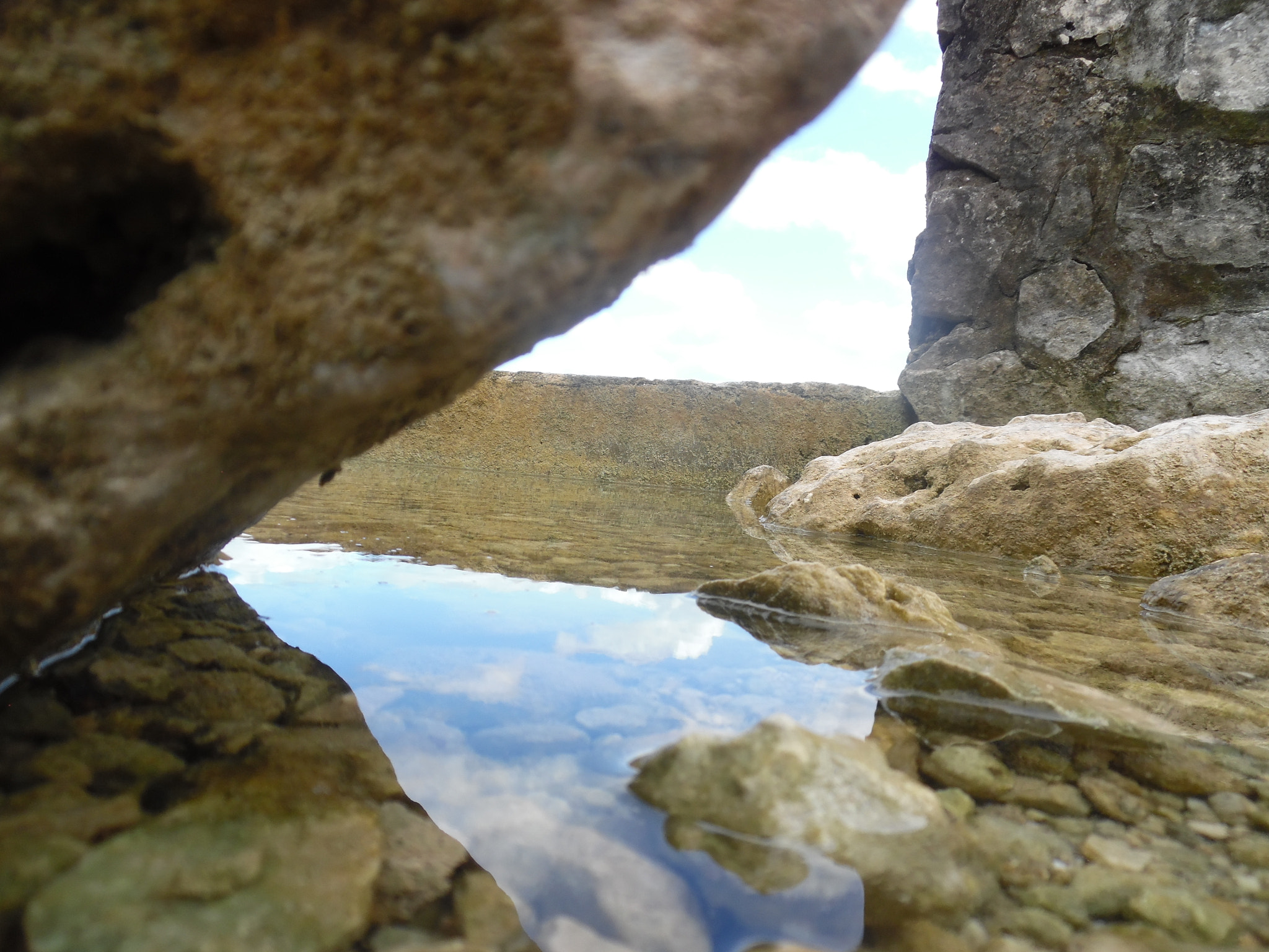 Samsung WB50F/WB51F/WB52F sample photo. #san joselake photography