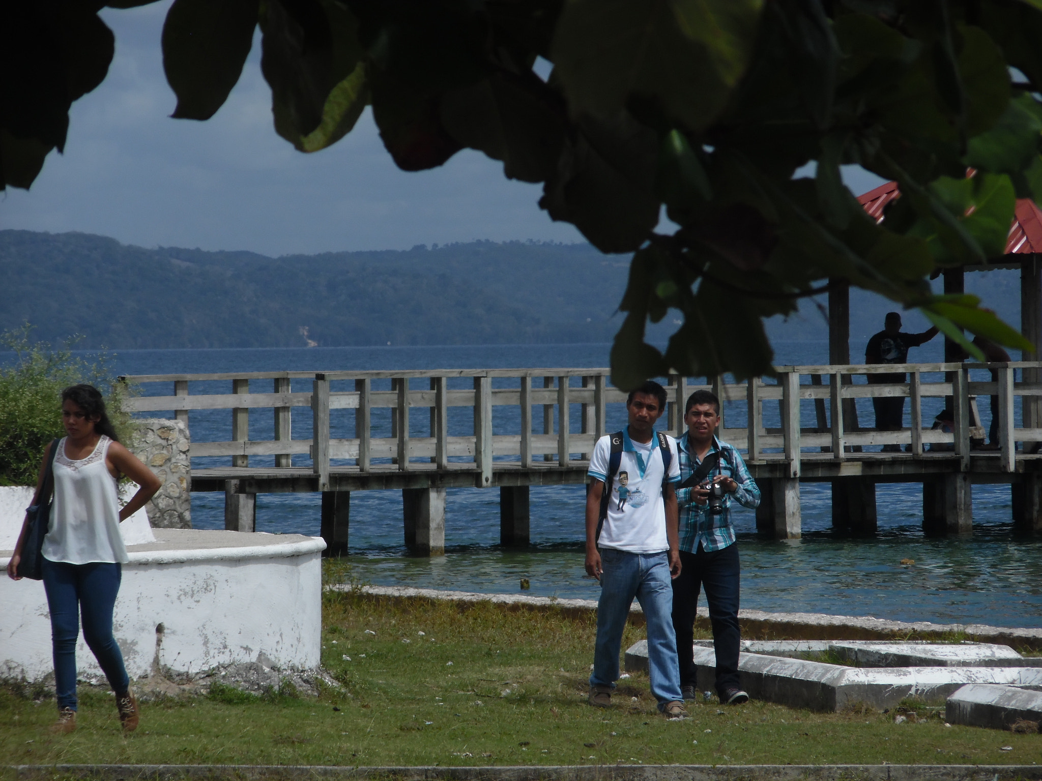 Samsung WB50F/WB51F/WB52F sample photo. Sam_2458.jpg photography