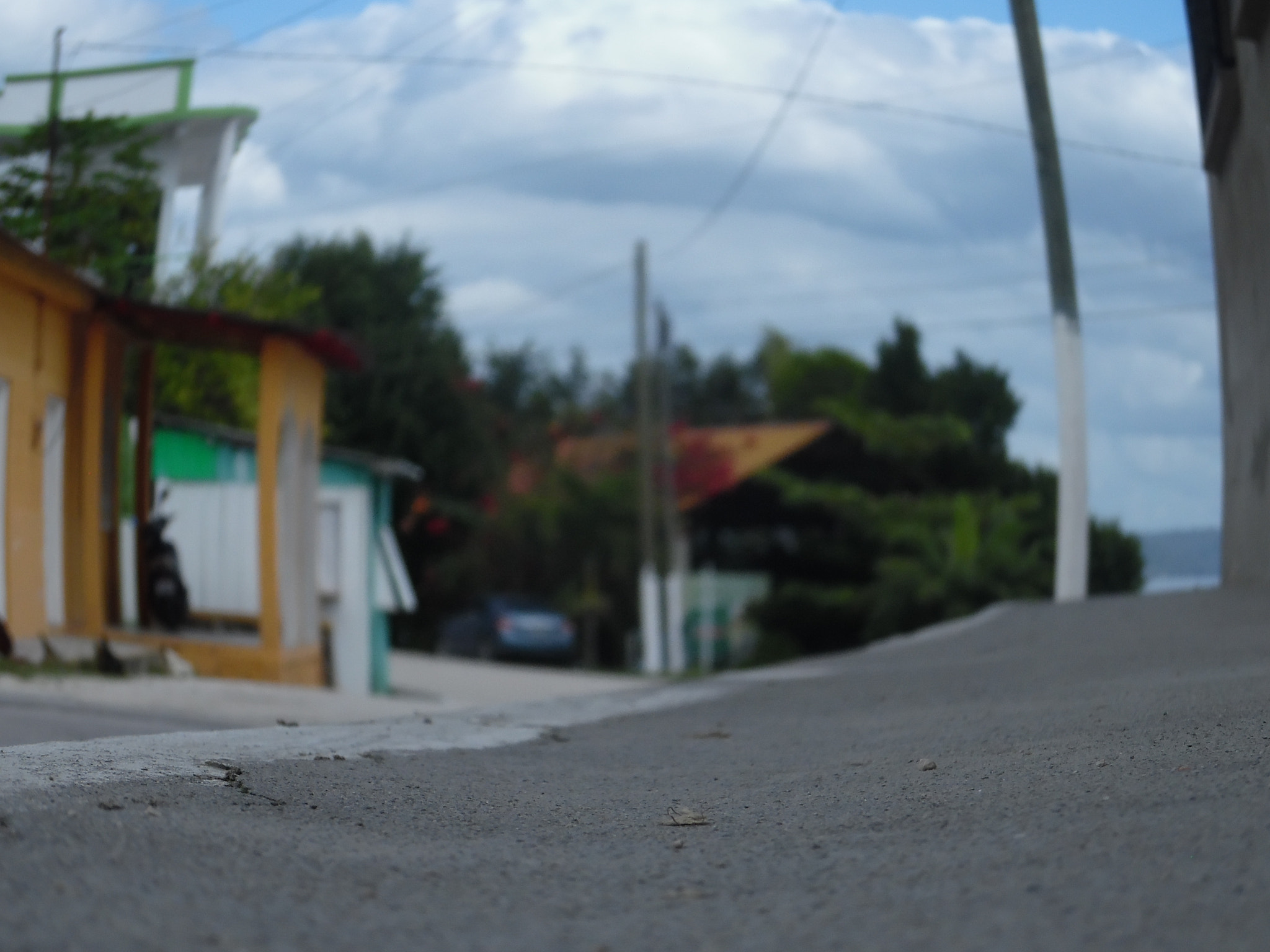 Samsung WB50F/WB51F/WB52F sample photo. Sam_2504.jpg photography
