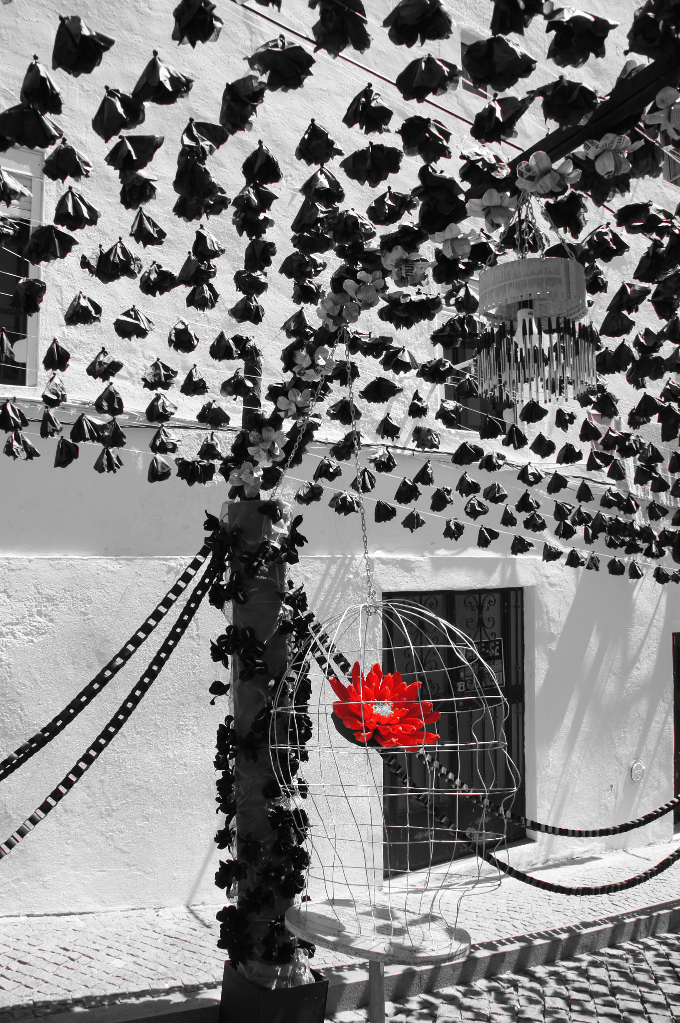 Sony SLT-A55 (SLT-A55V) sample photo. Campo maior ii photography