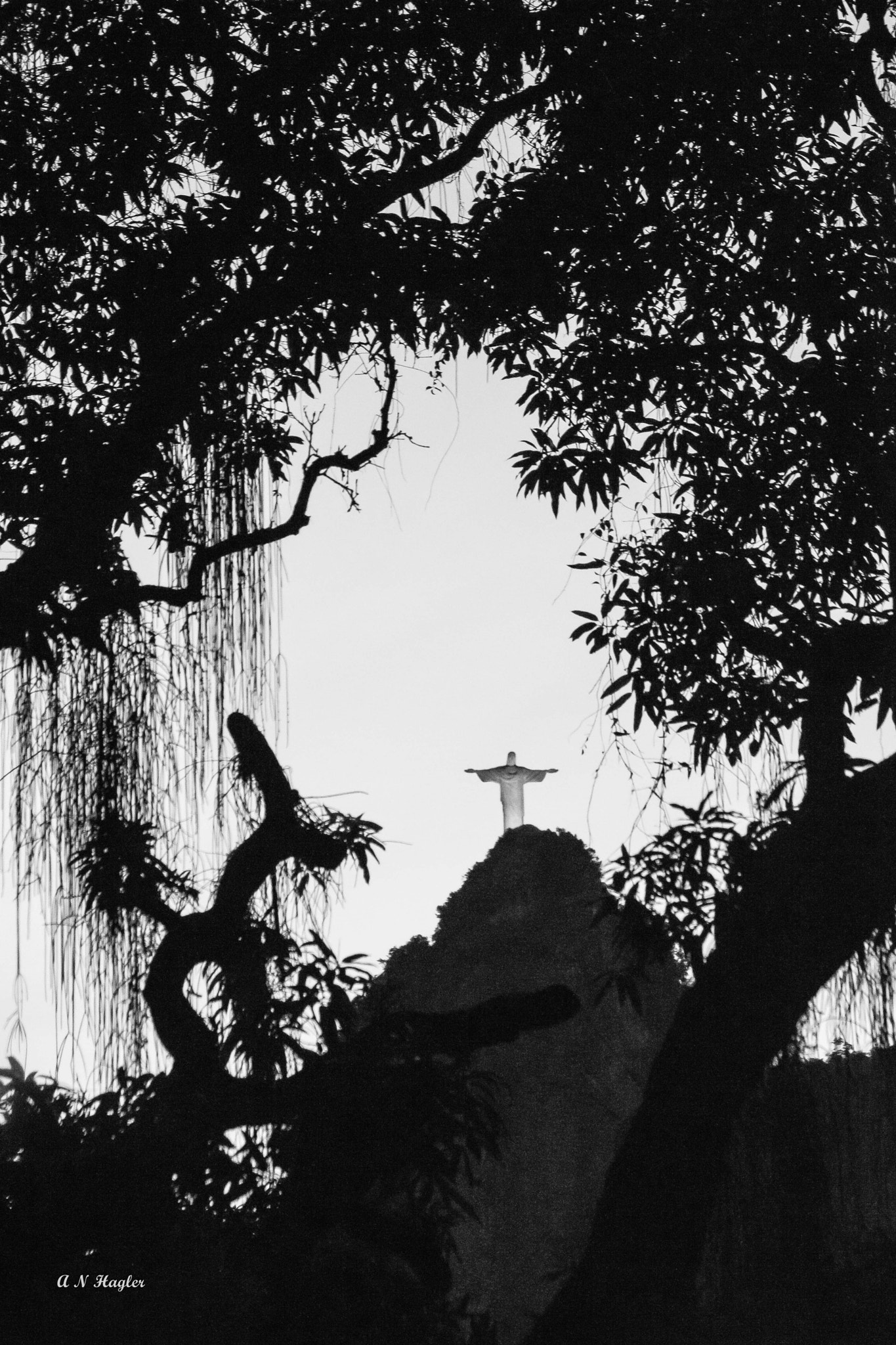 Sony 70-300mm F4.5-5.6 G SSM sample photo. Christ on corcovado through tree &amp; epiphytes photography