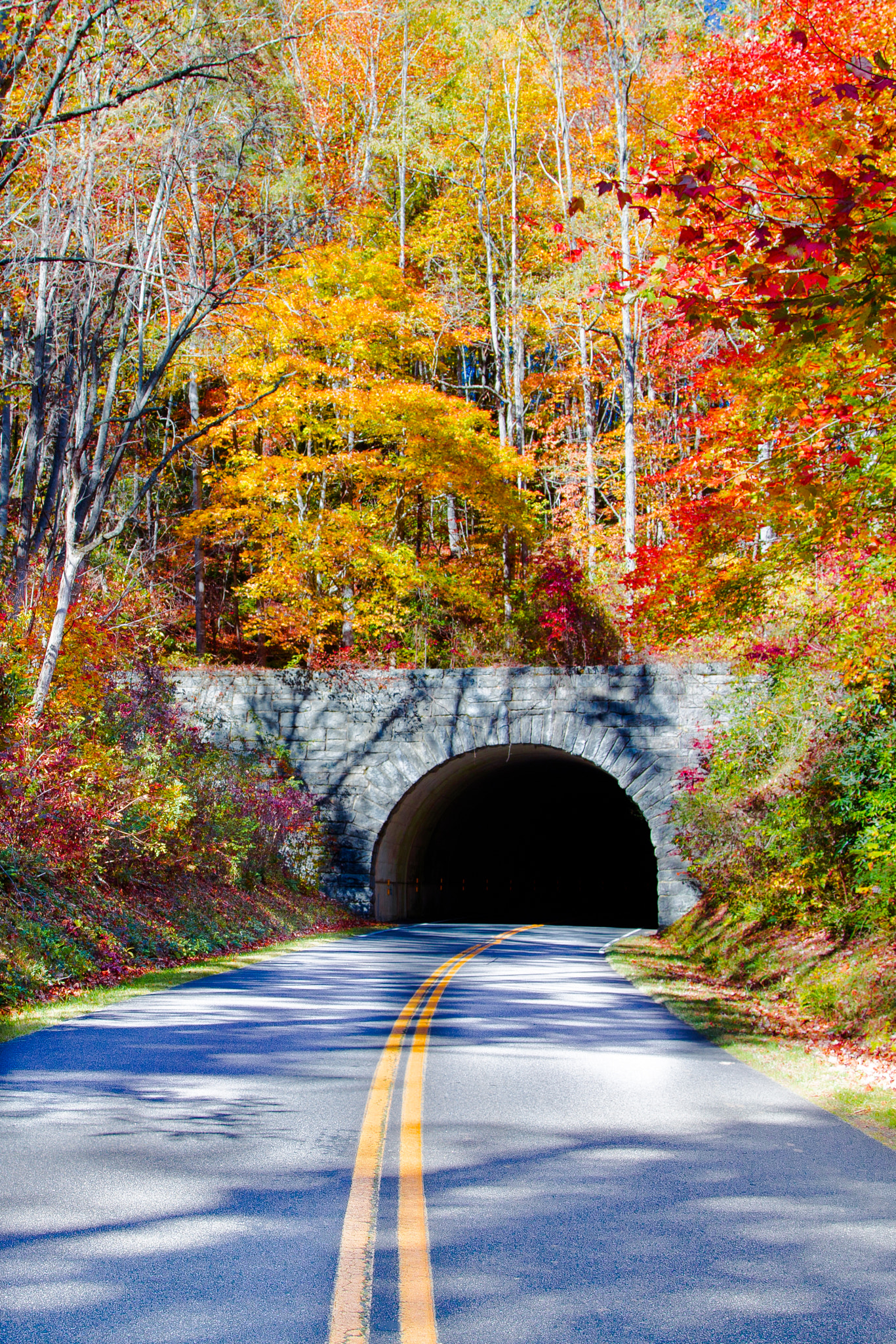 Fall Foliage @ Blue Ridge Parkway