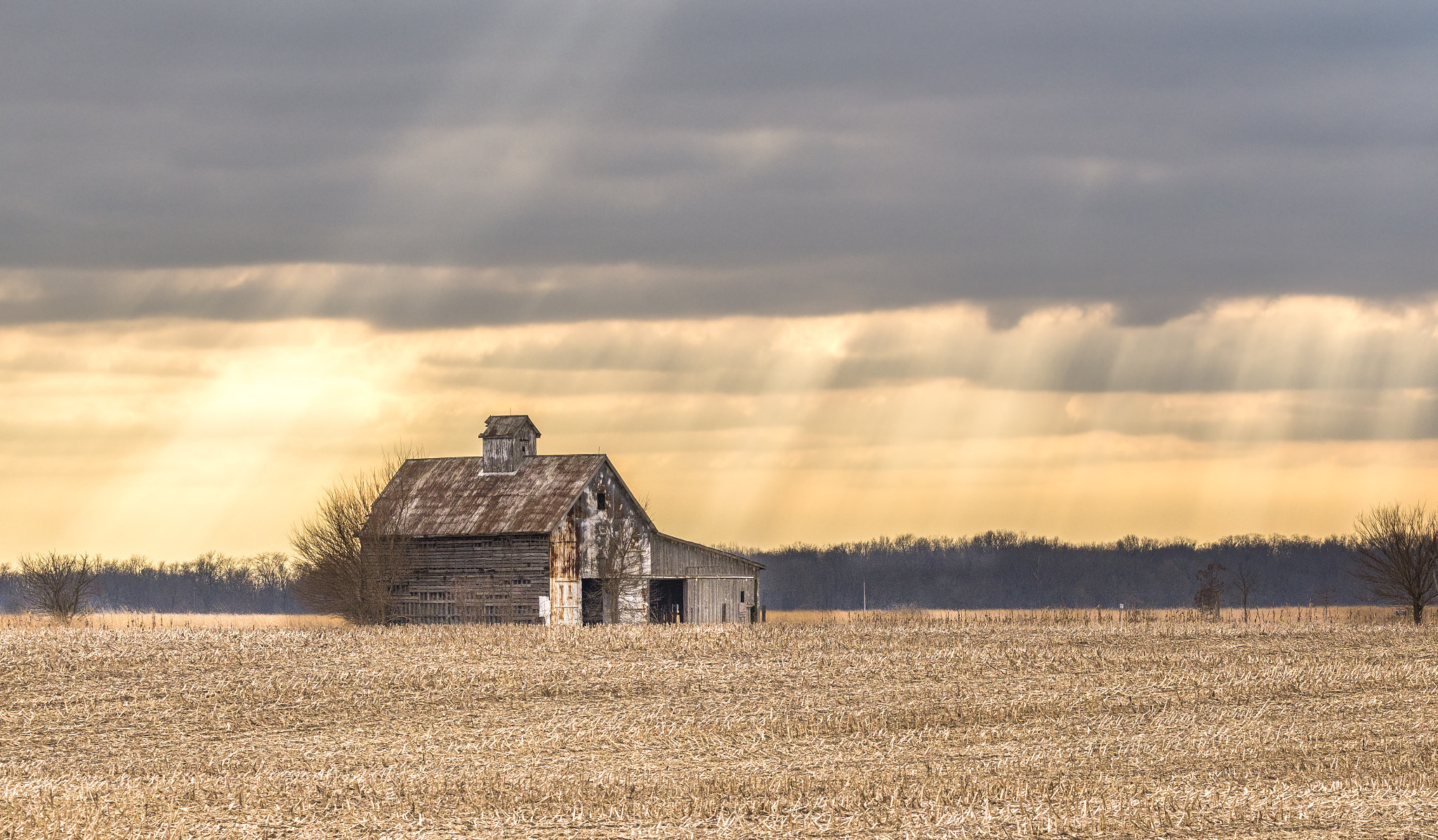 Sigma 150-600mm F5-6.3 DG OS HSM | C sample photo. Sunbeam barn photography